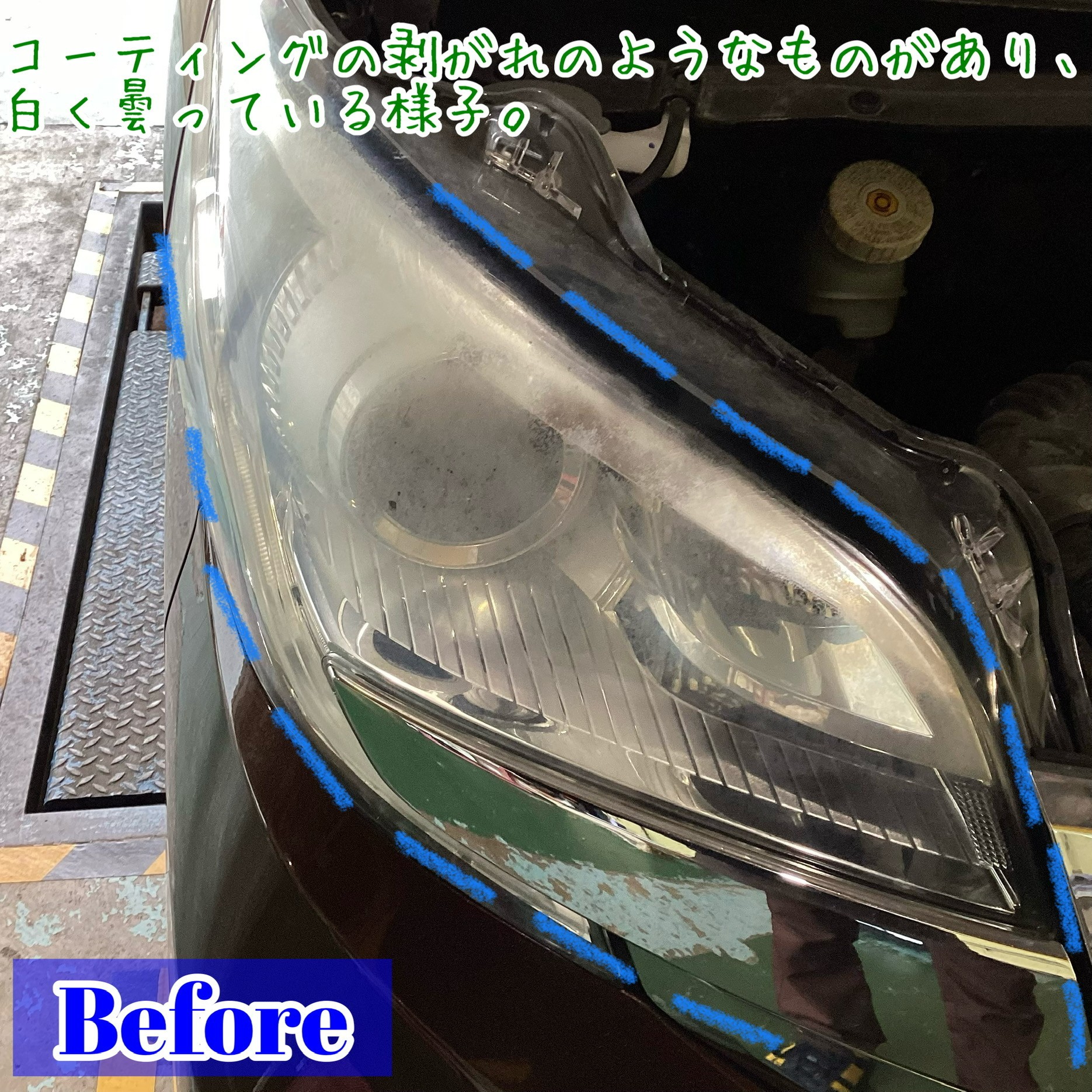 スタッフが撮影加工した画像