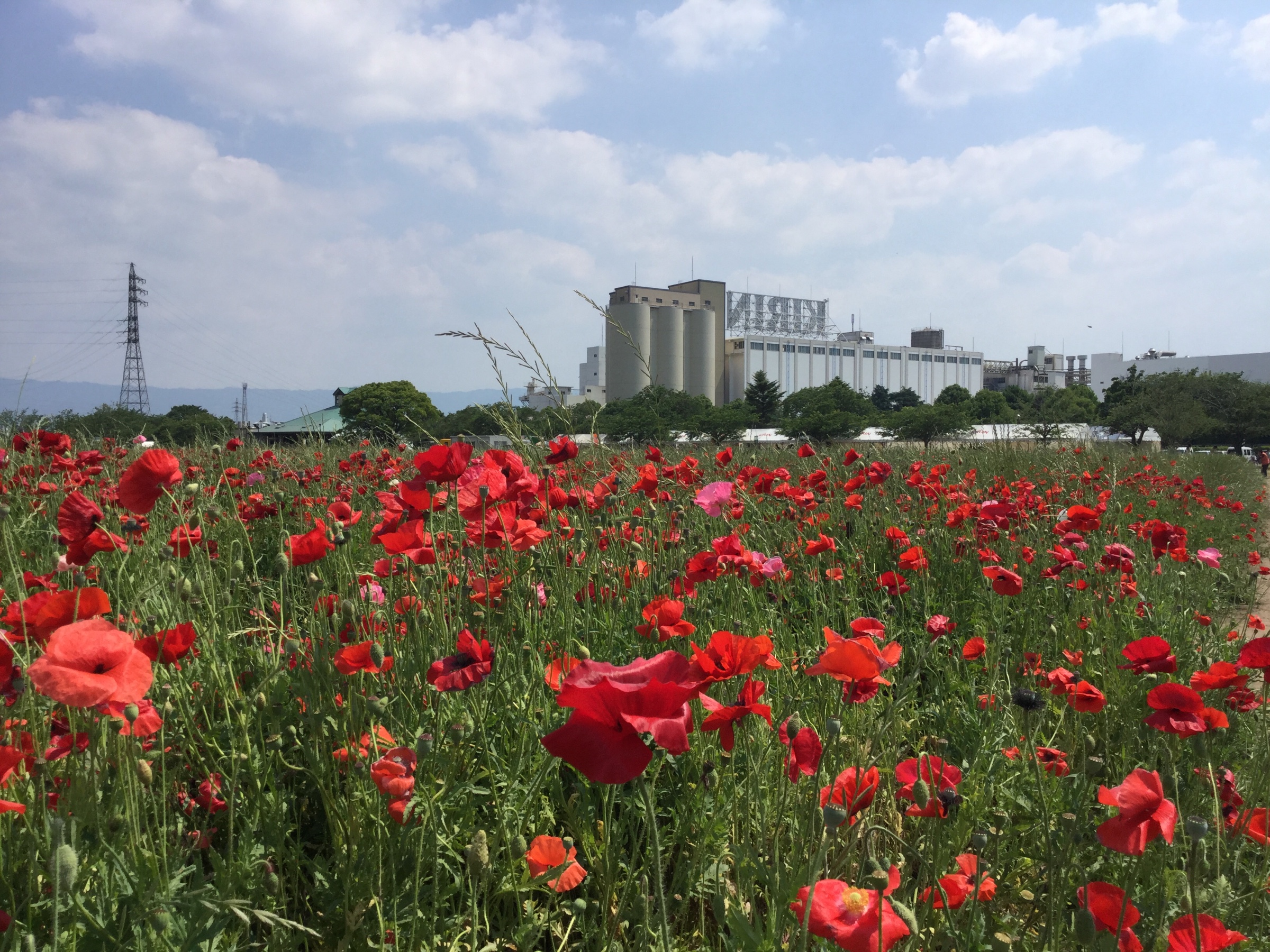 キリンビール福岡工場 キリン花園 スタッフ日記 タイヤ館 次郎丸 タイヤからはじまる トータルカーメンテナンス タイヤ館グループ