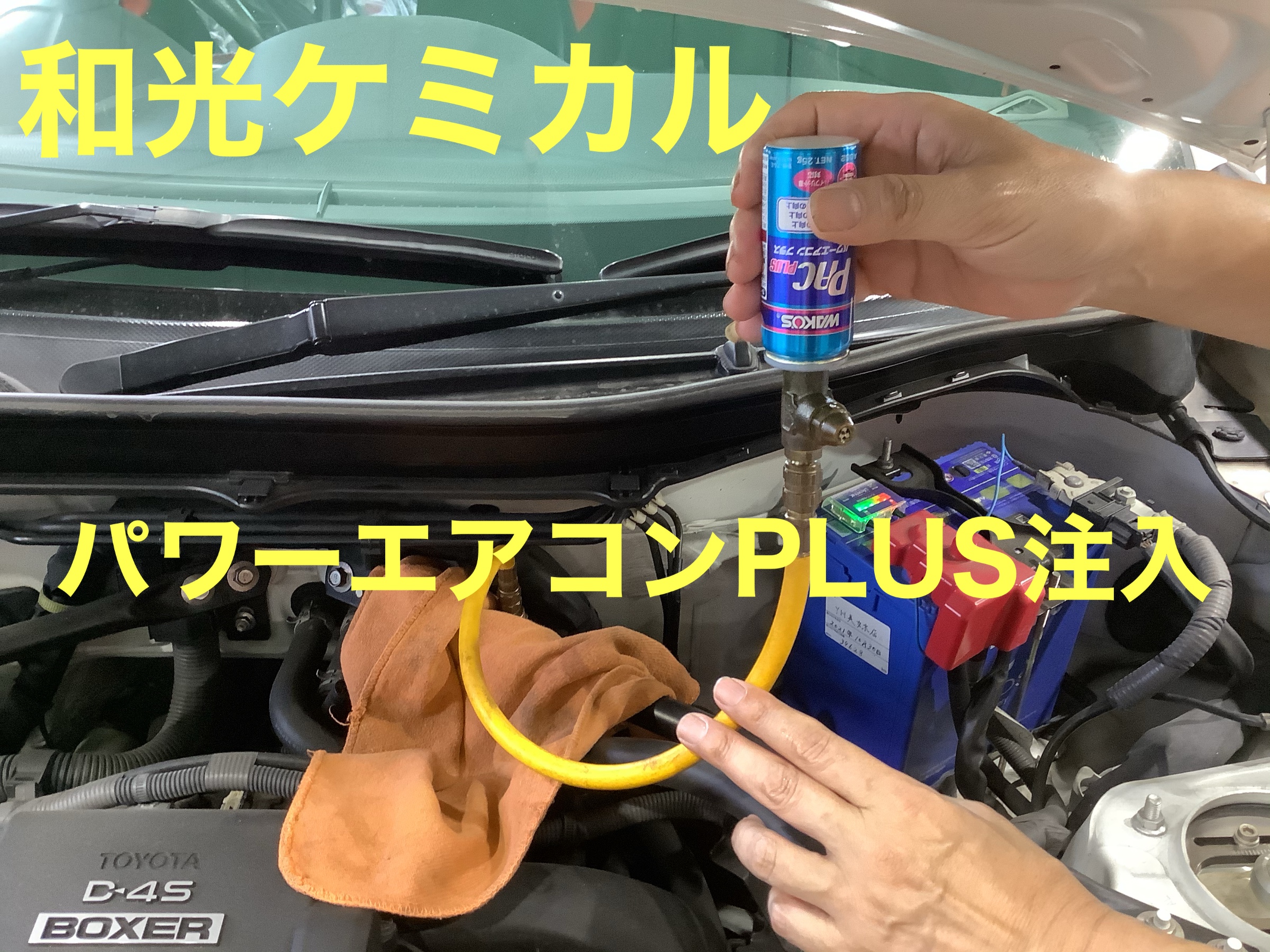 スタッフが撮影