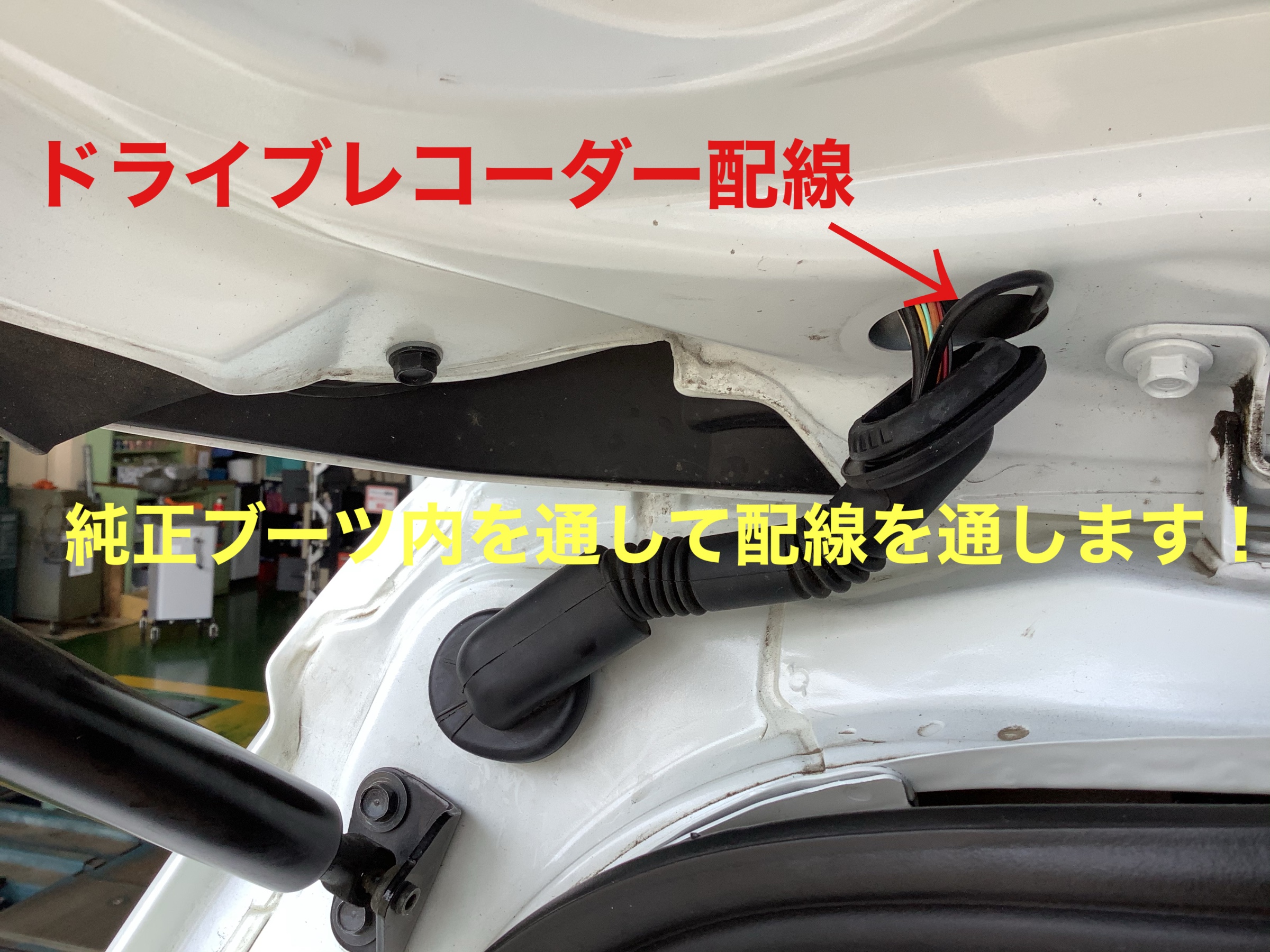 スタッフが撮影
