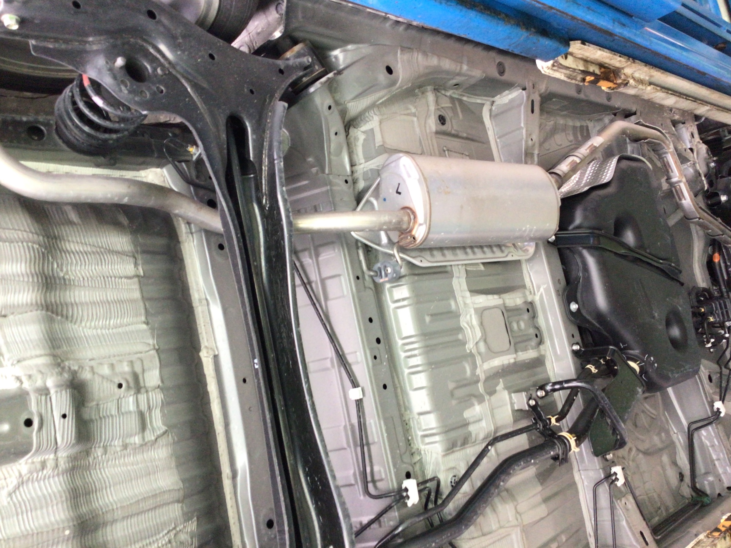 スタッフ撮影分