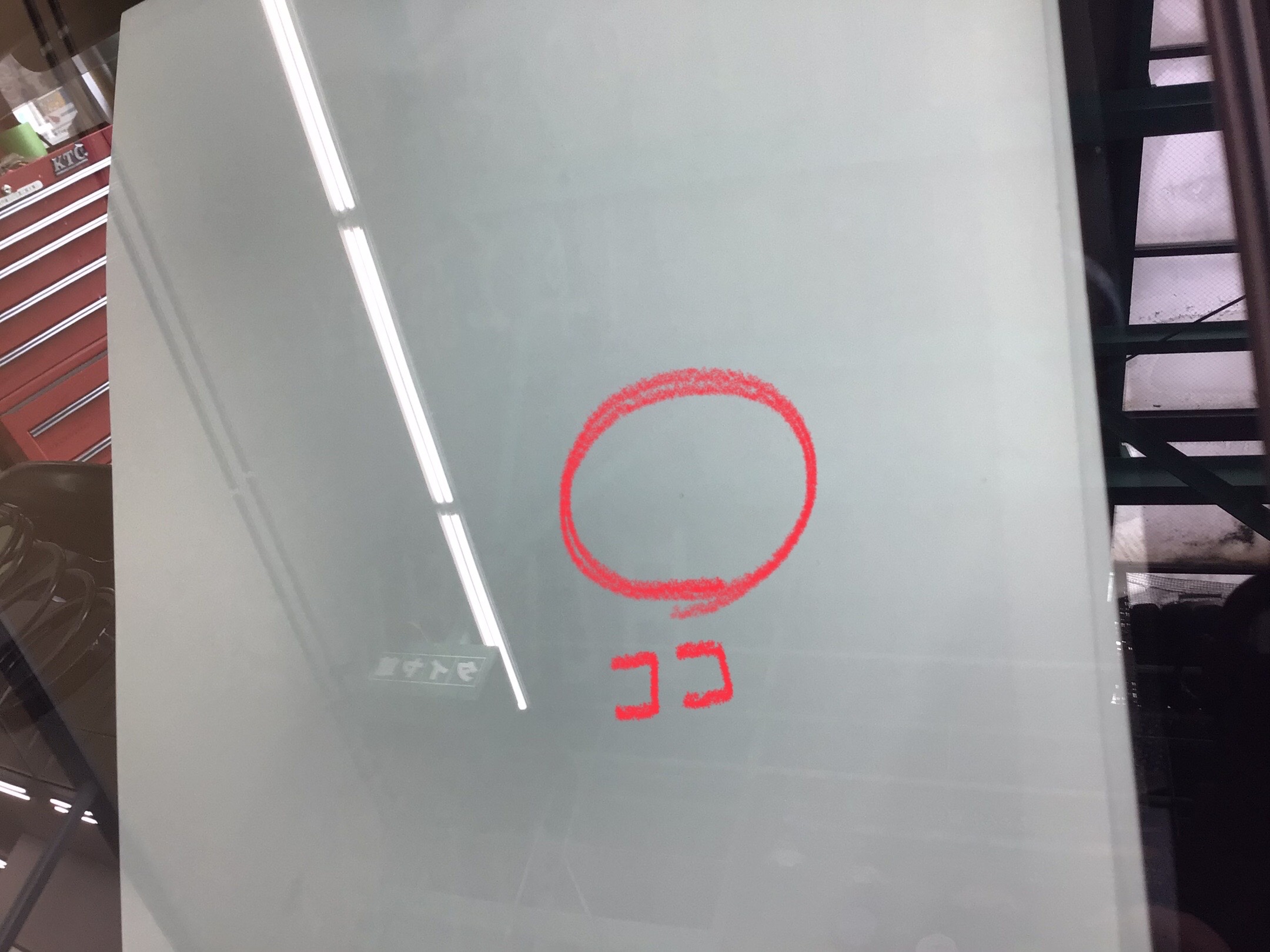 スタッフ撮影分