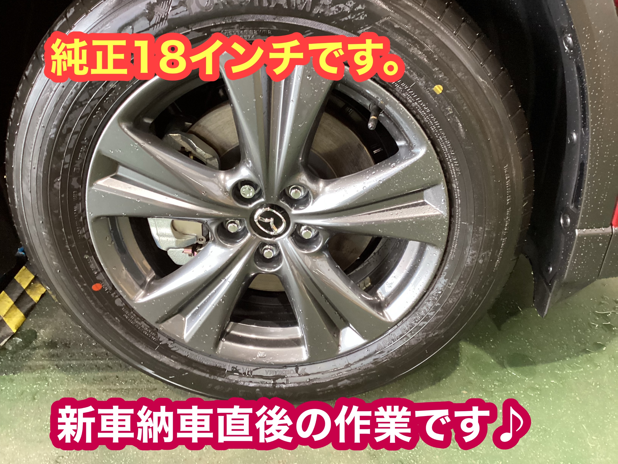 スズキ　純正グリーン　14インチ　レグノほぼ新品 スズキ純正グリーン14インチレグノほぼ新品
