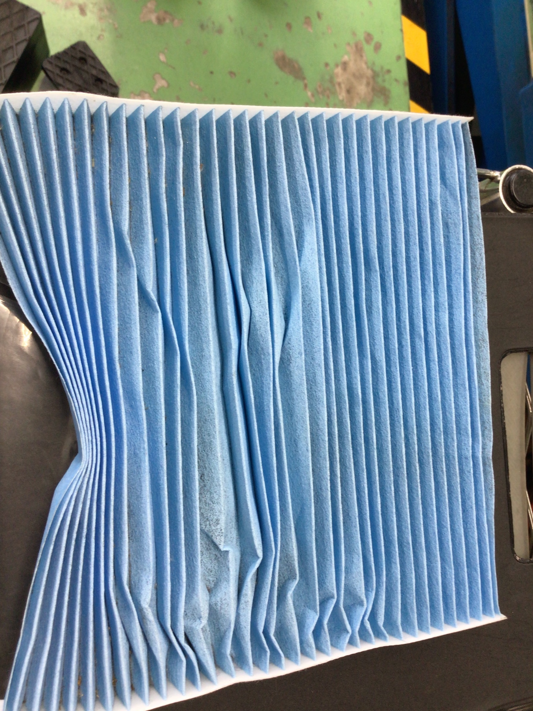 スタッフ撮影分