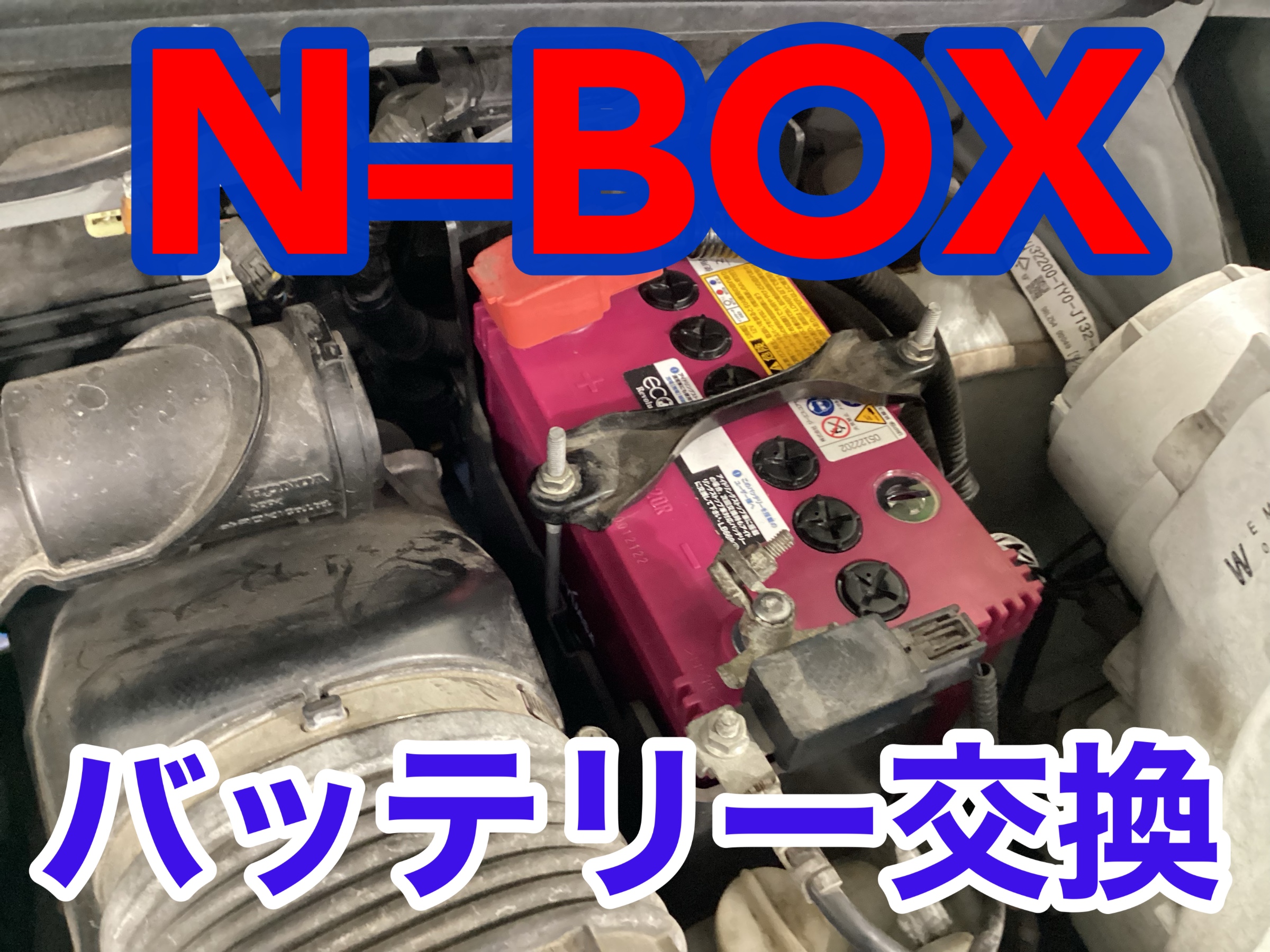 スタッフ撮影画像
