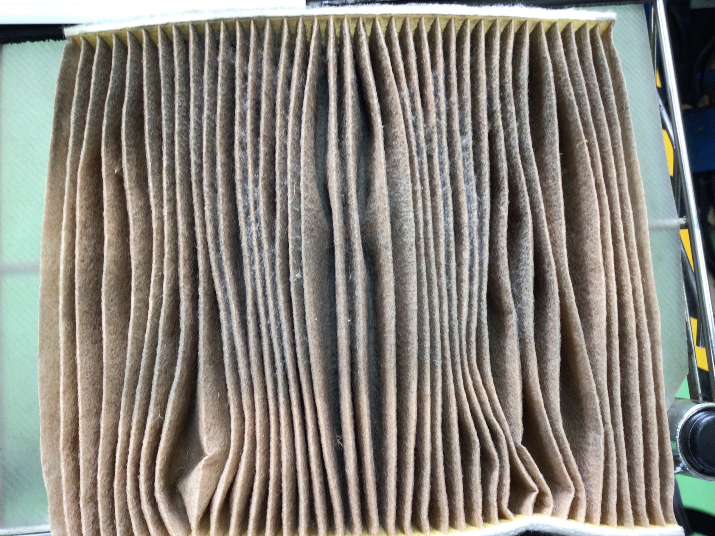 スタッフ撮影分