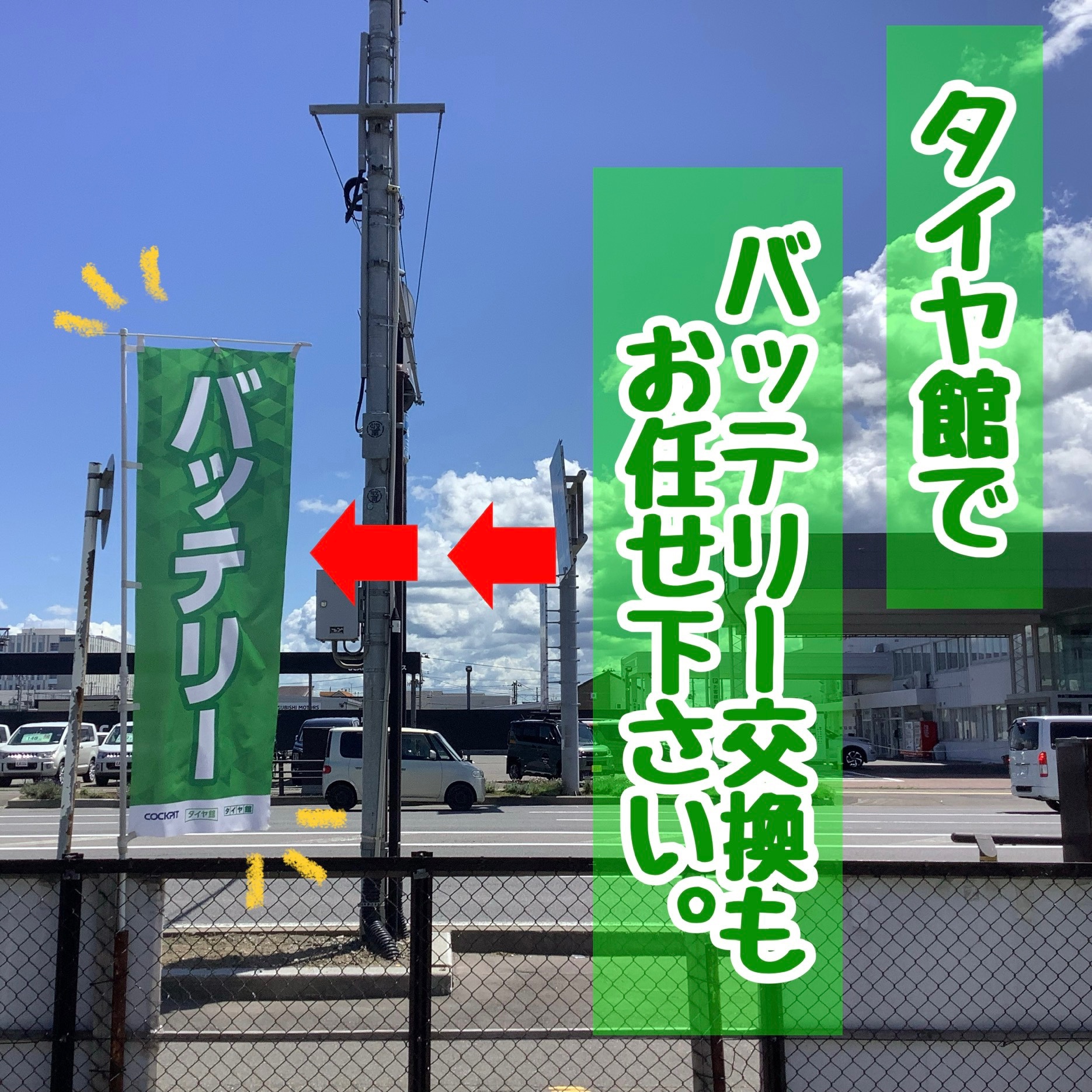 スタッフが撮影加工した画像