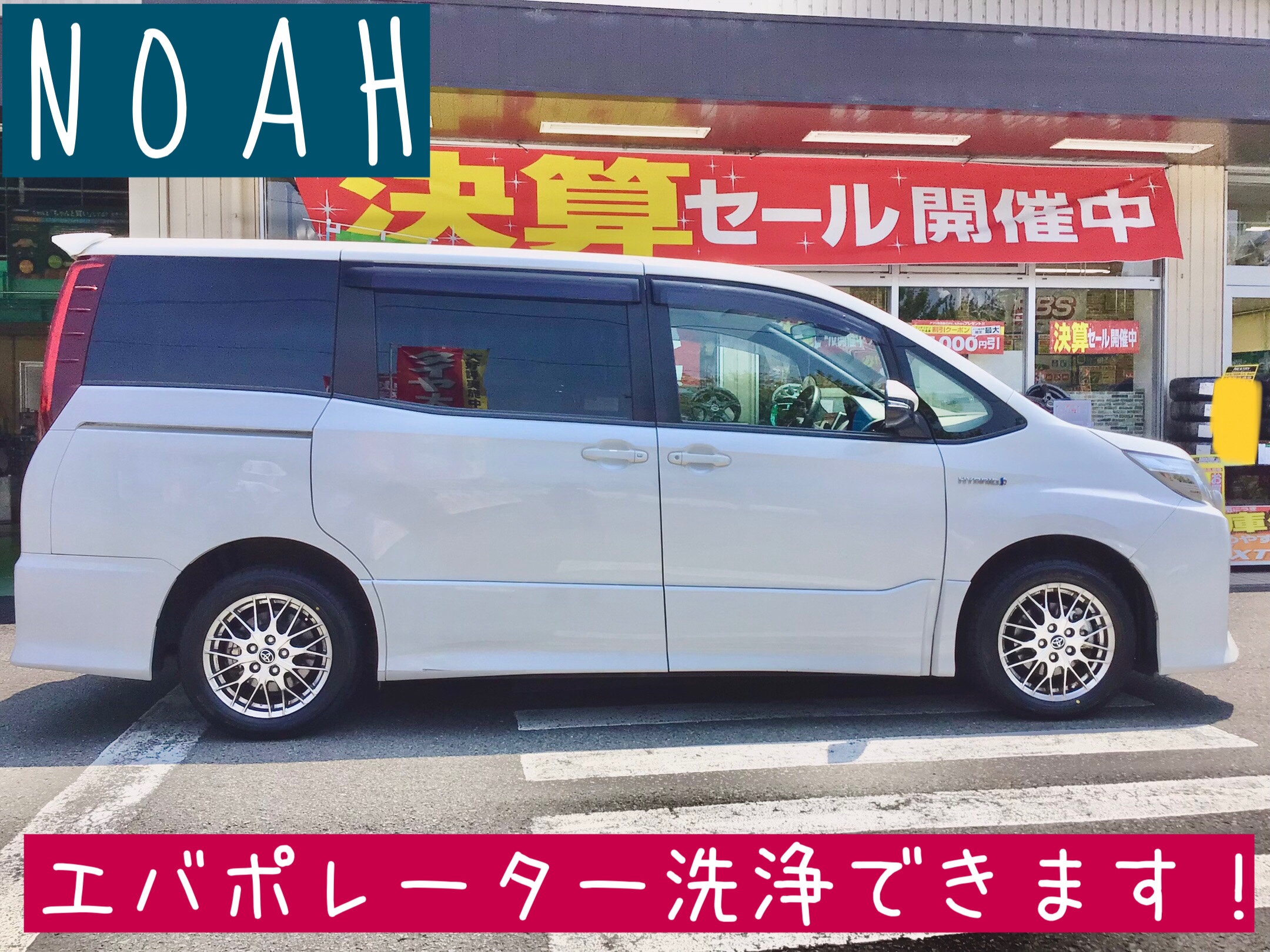 スタッフ撮影分