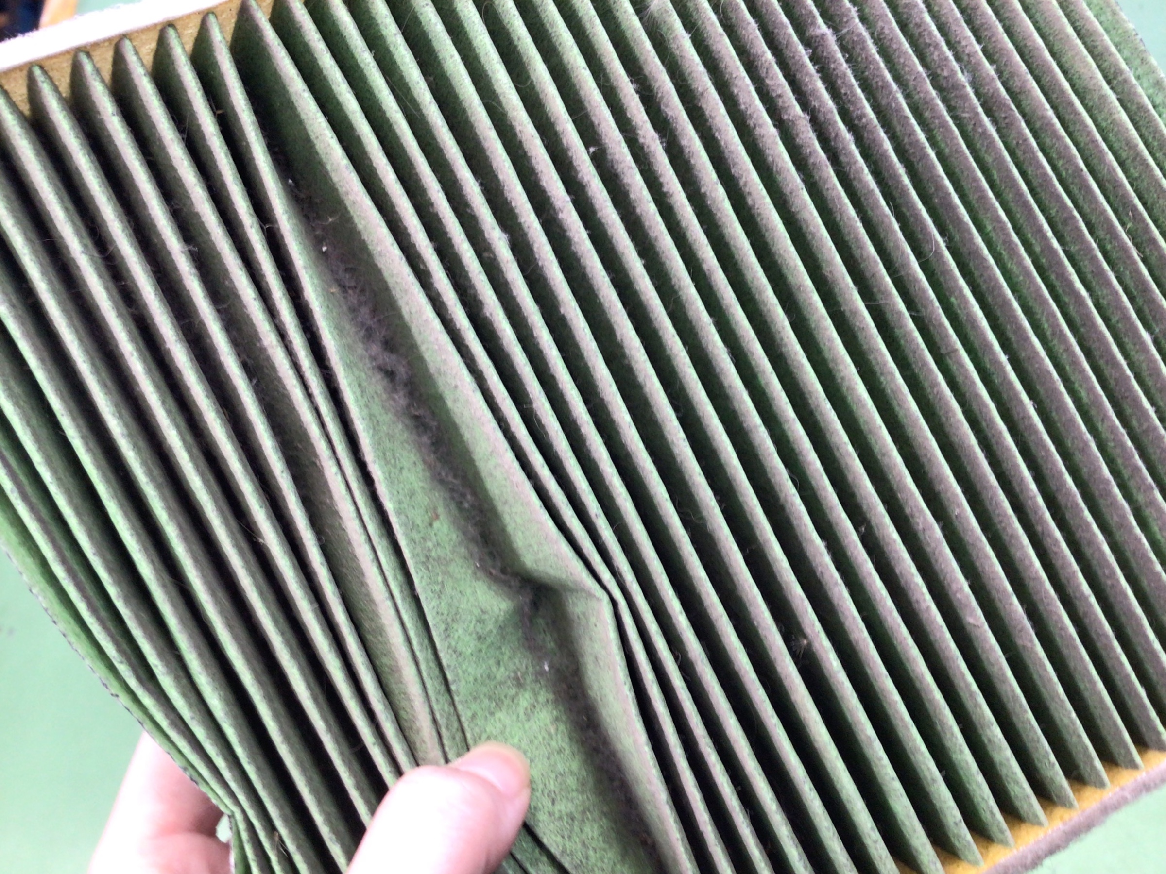 スタッフ撮影分