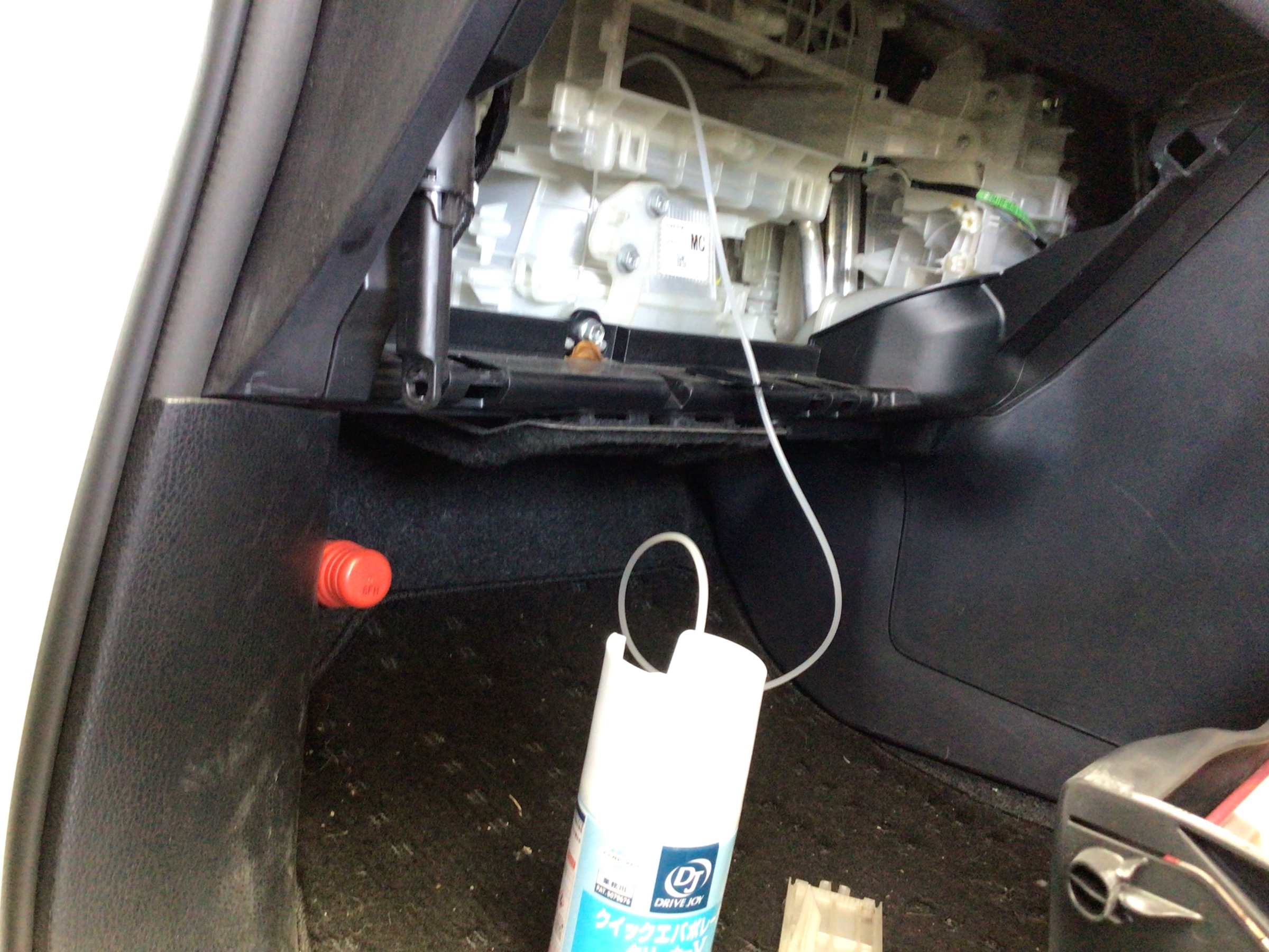 スタッフ撮影分