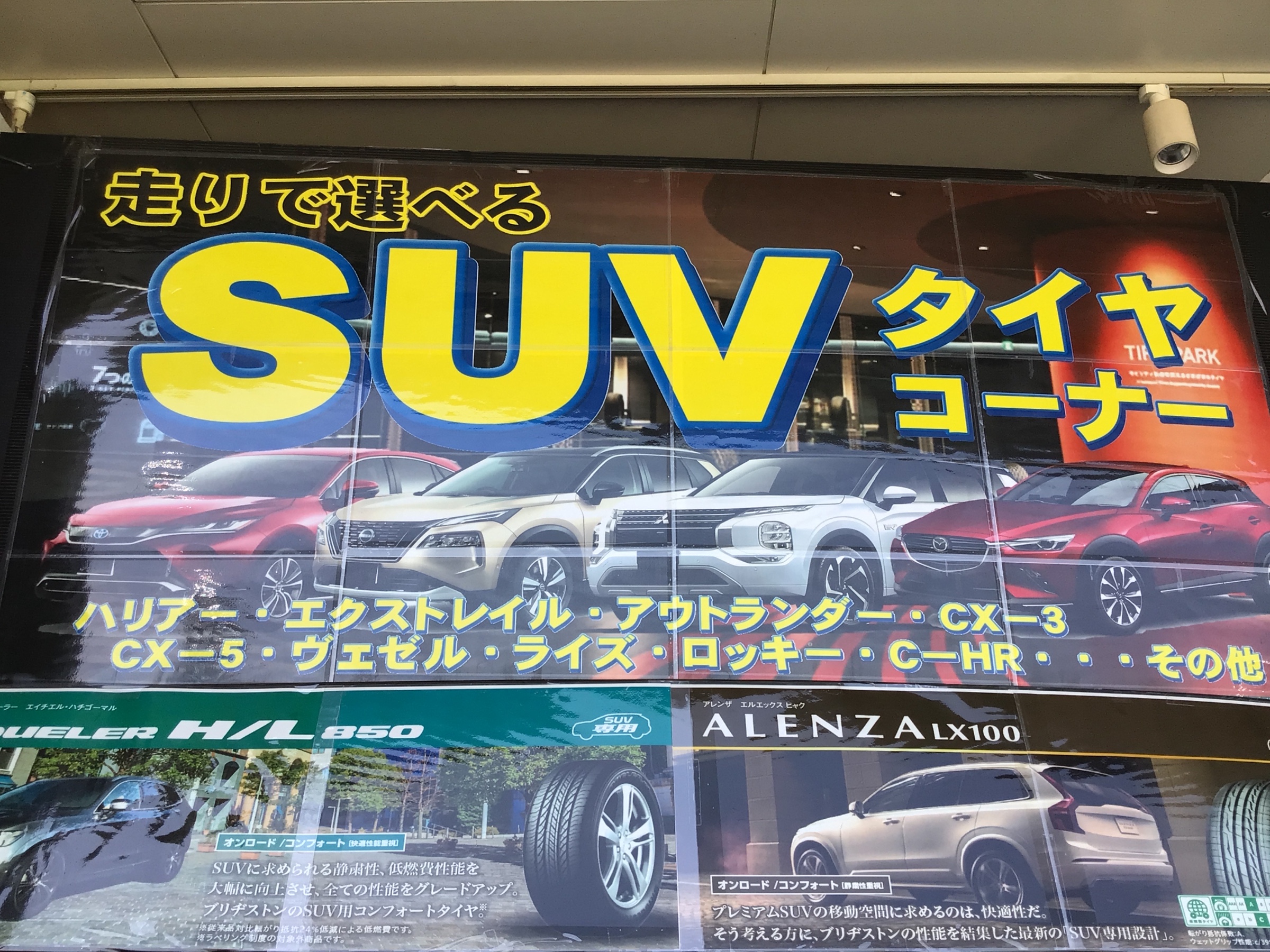 スタッフ撮影写真