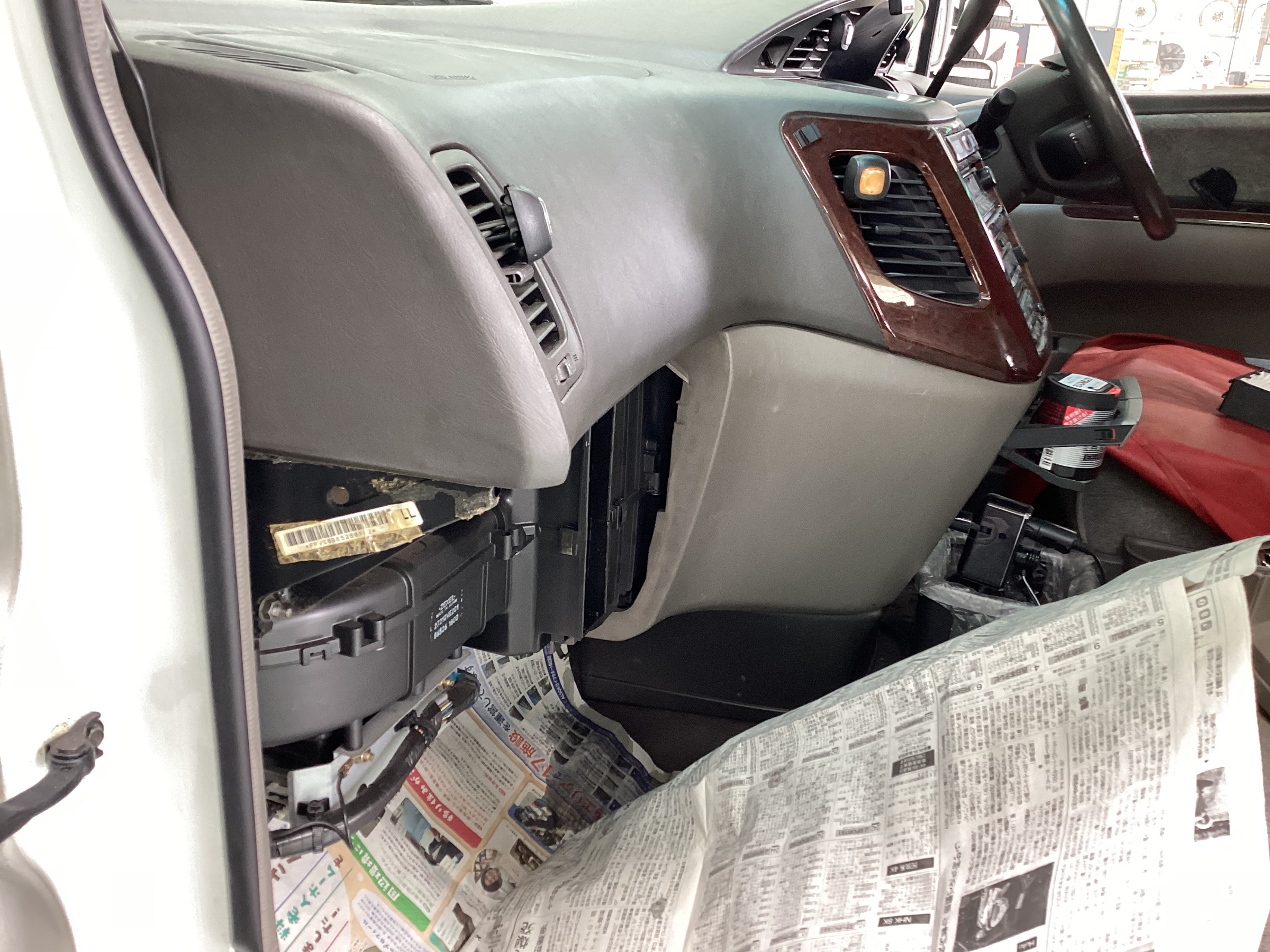 スタッフ撮影画像です