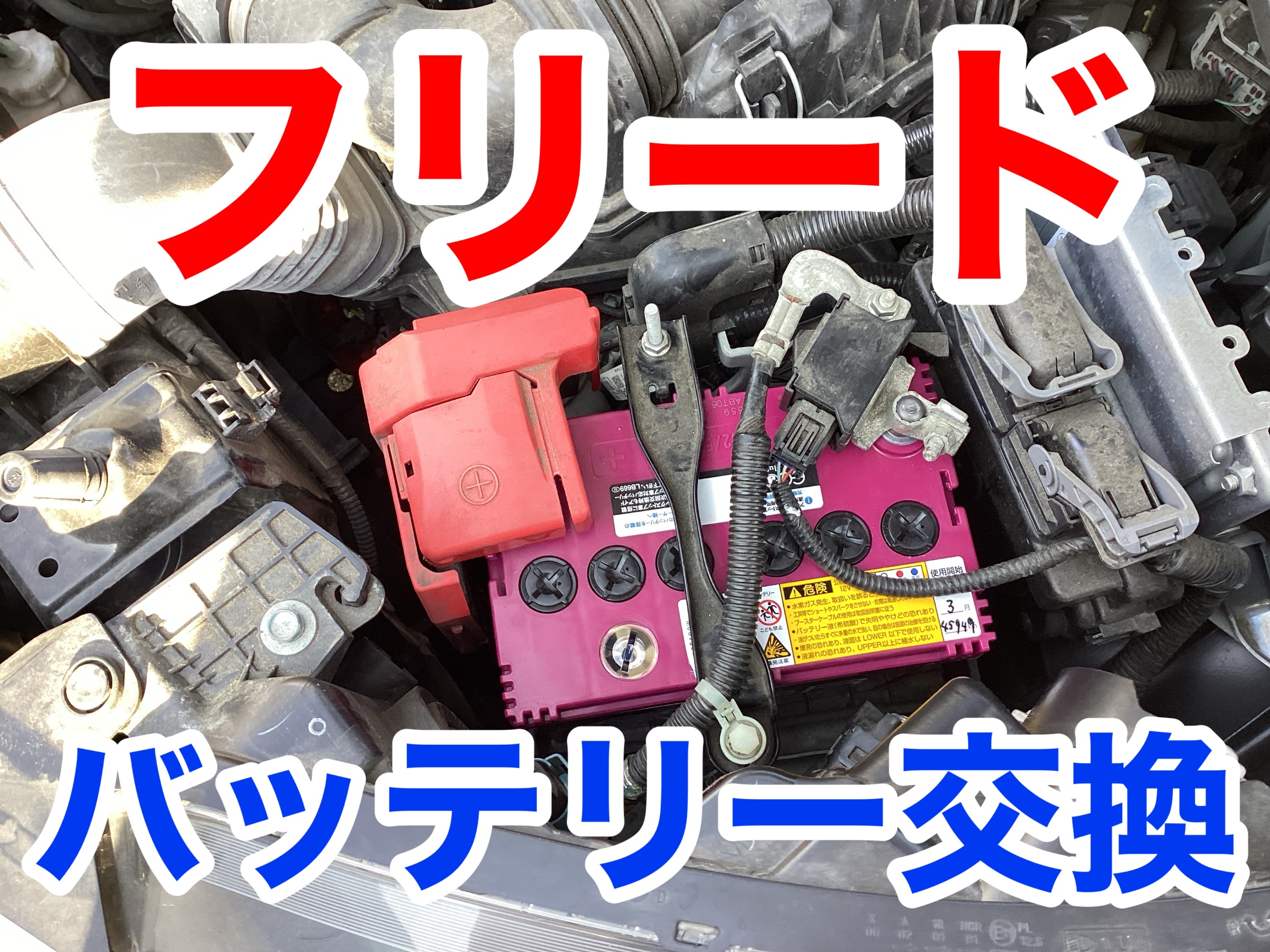 スタッフ撮影画像