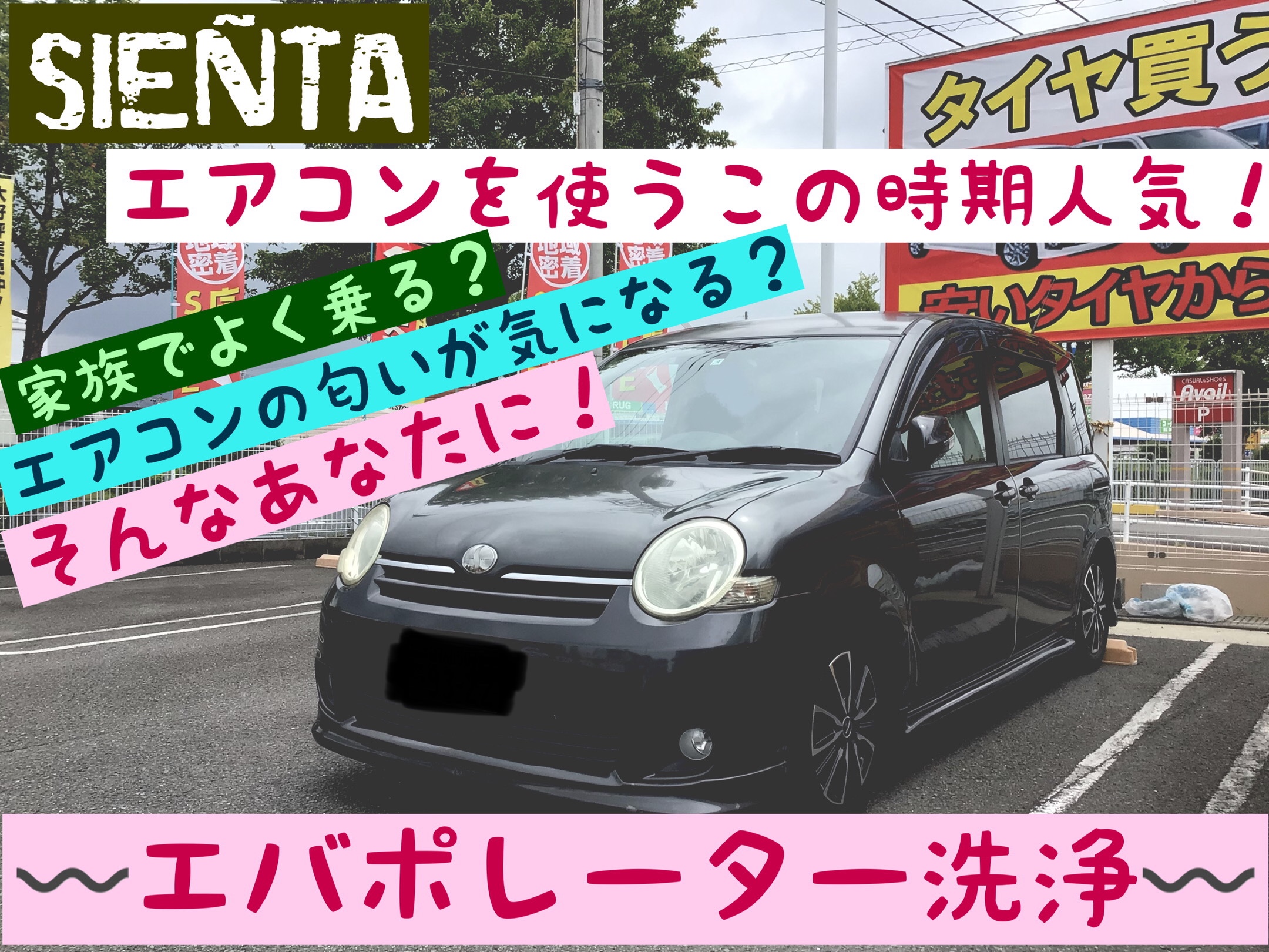 スタッフ撮影分