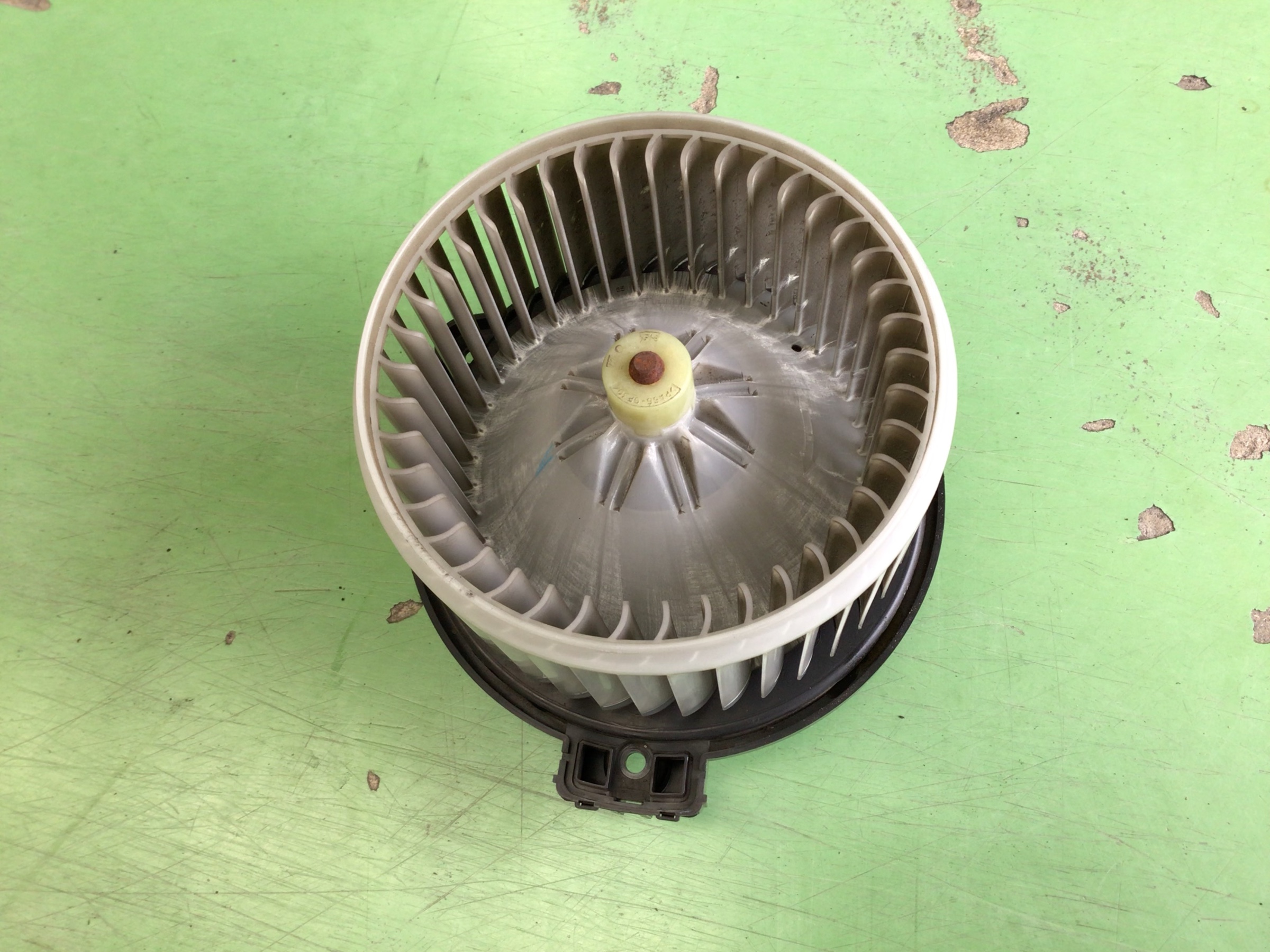 スタッフ撮影分