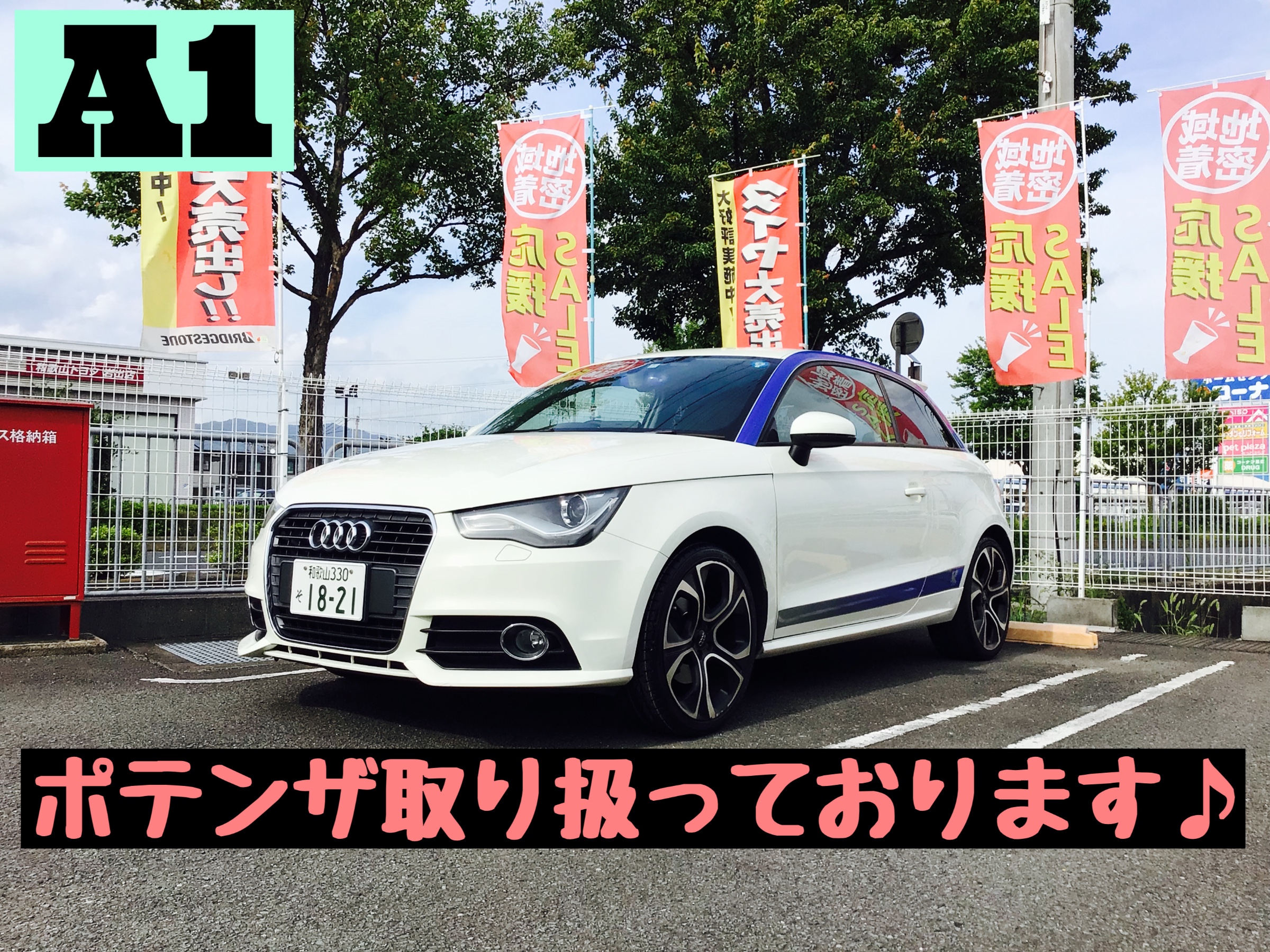 スタッフ撮影分