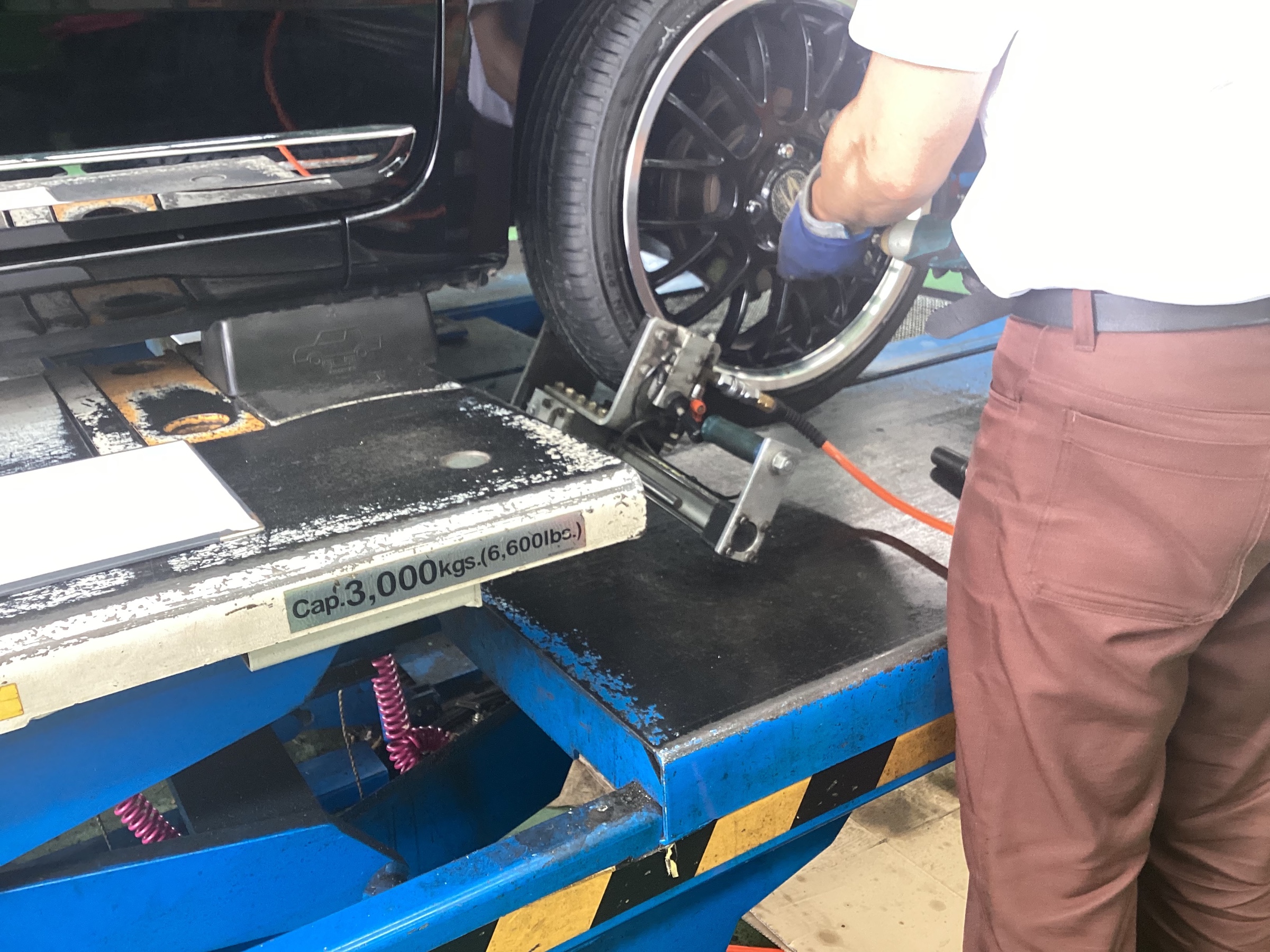 スタッフ撮影画像です。