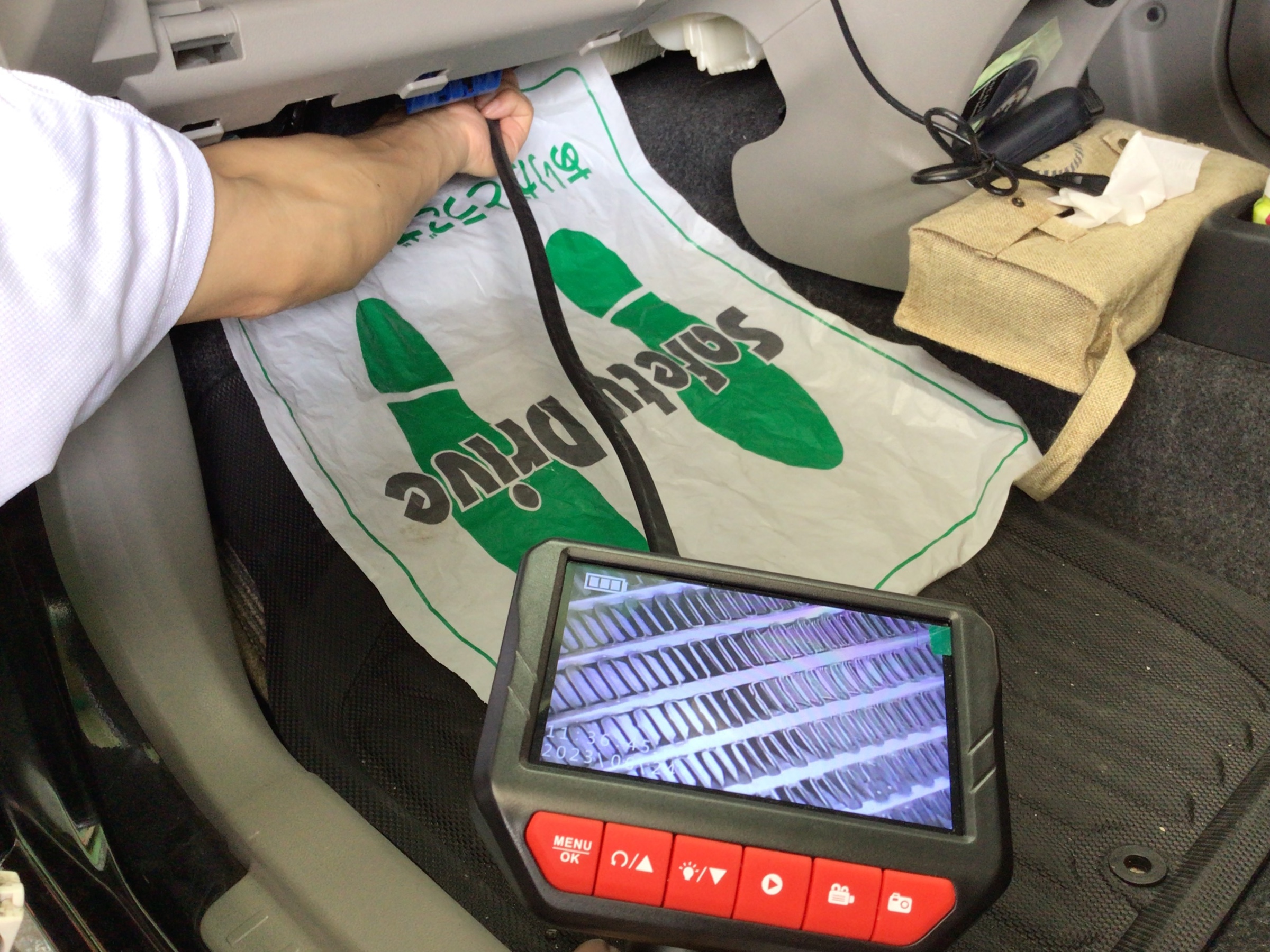 スタッフ撮影分