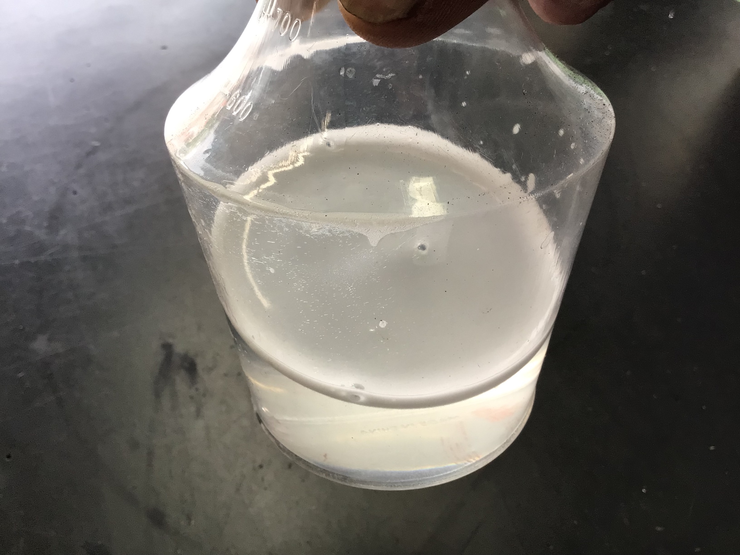 スタッフ撮影分