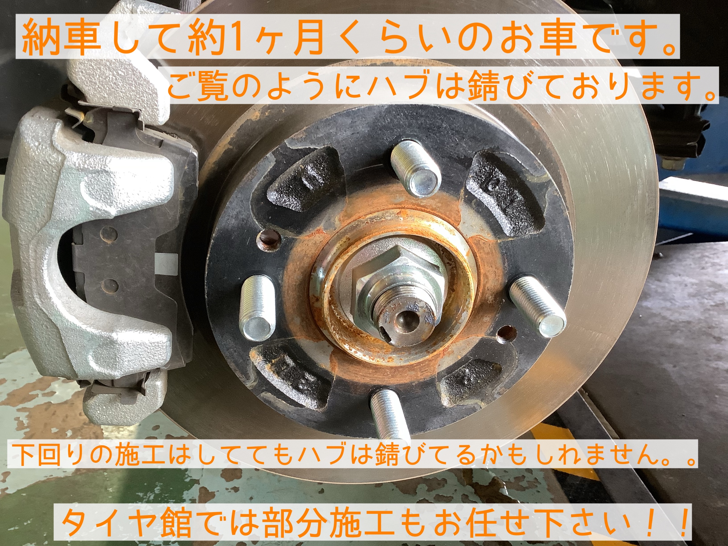 スタッフが撮影加工
