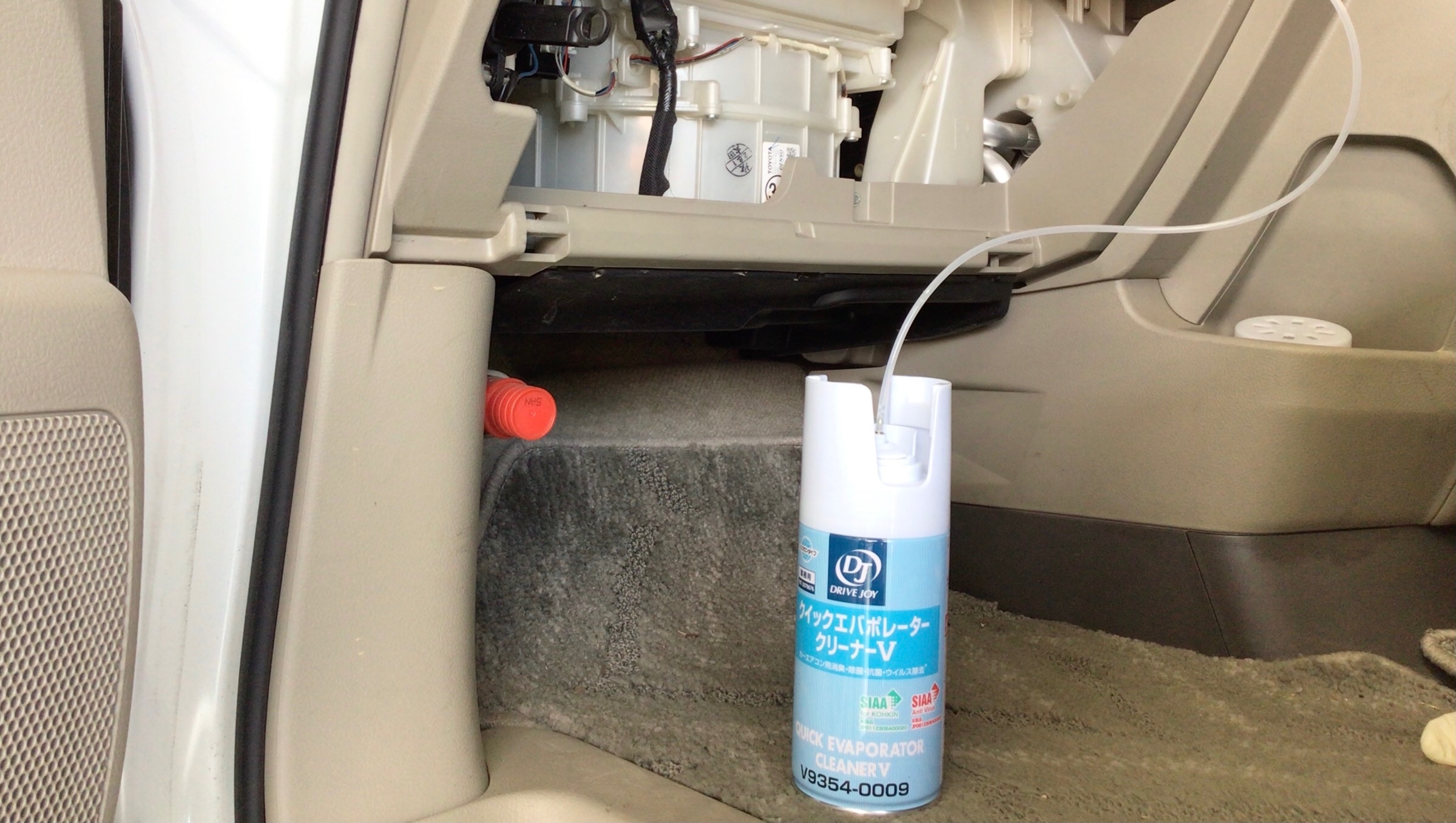 スタッフ撮影分