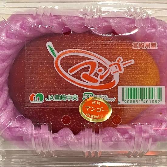 スタッフ撮影