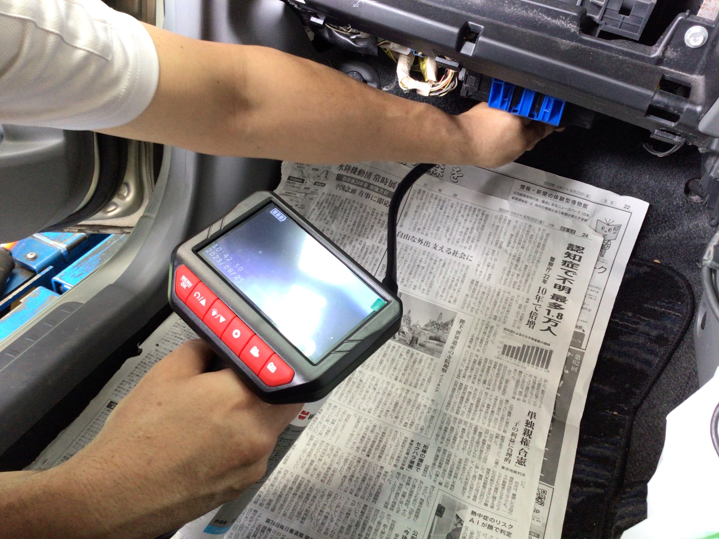 スタッフ撮影分