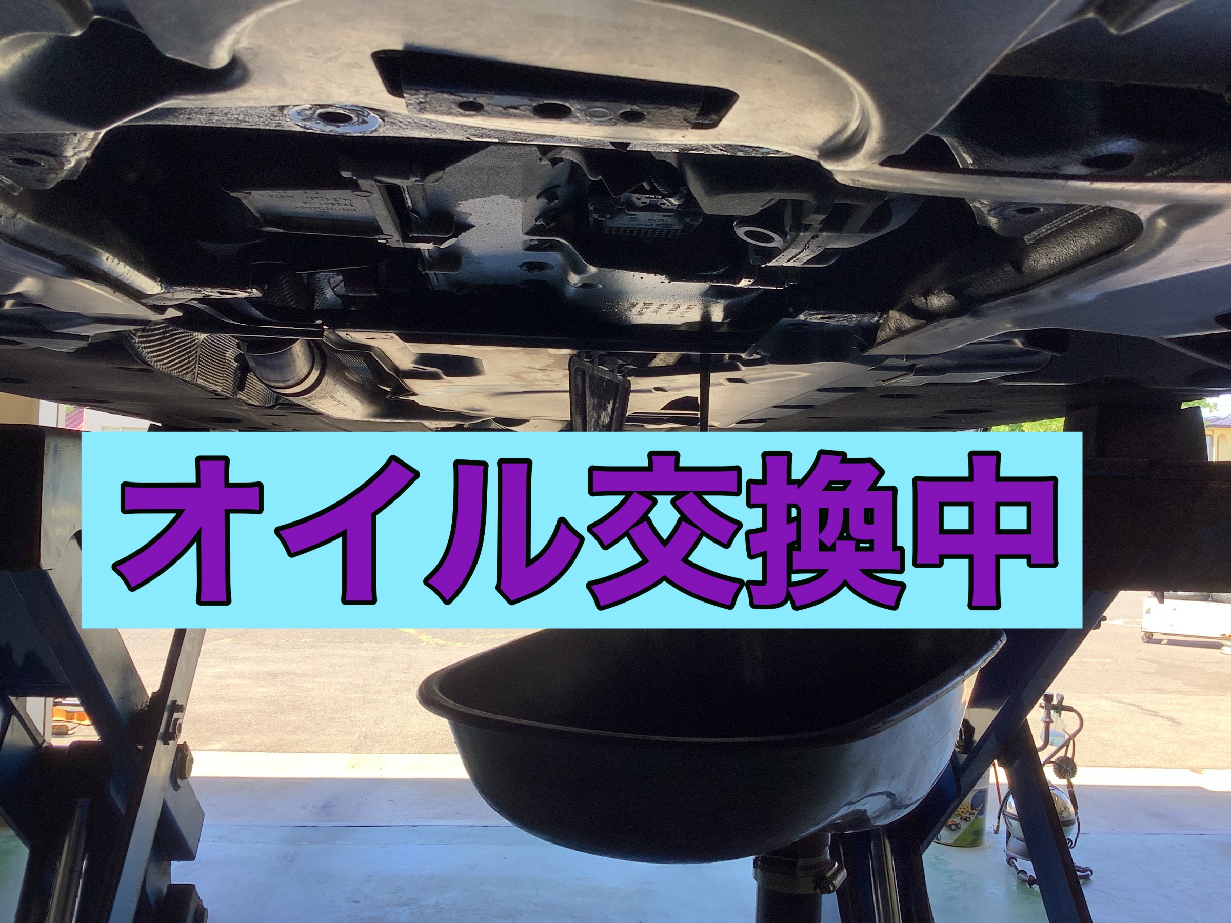 スタッフ撮影です。