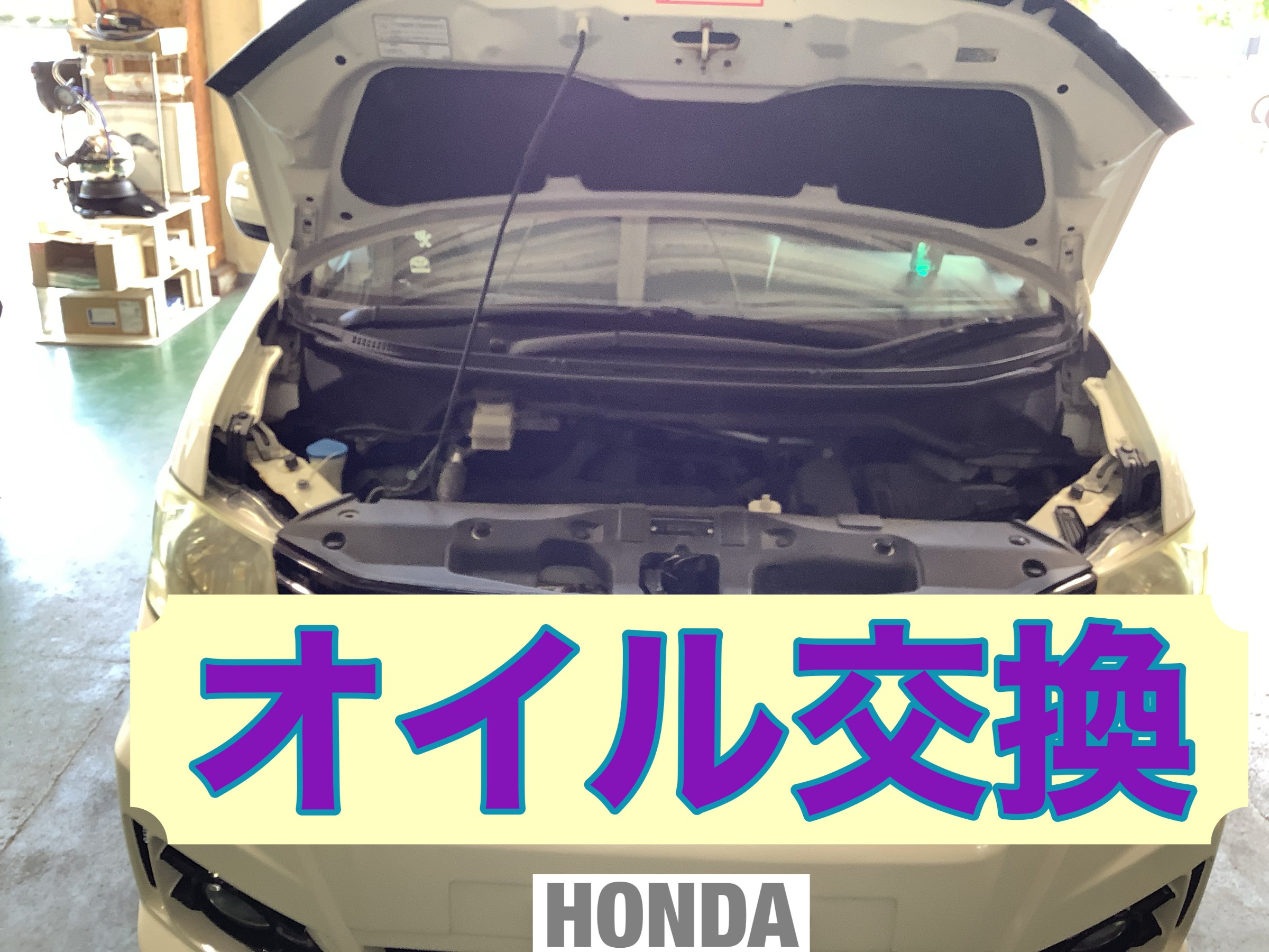 スタッフ撮影です。