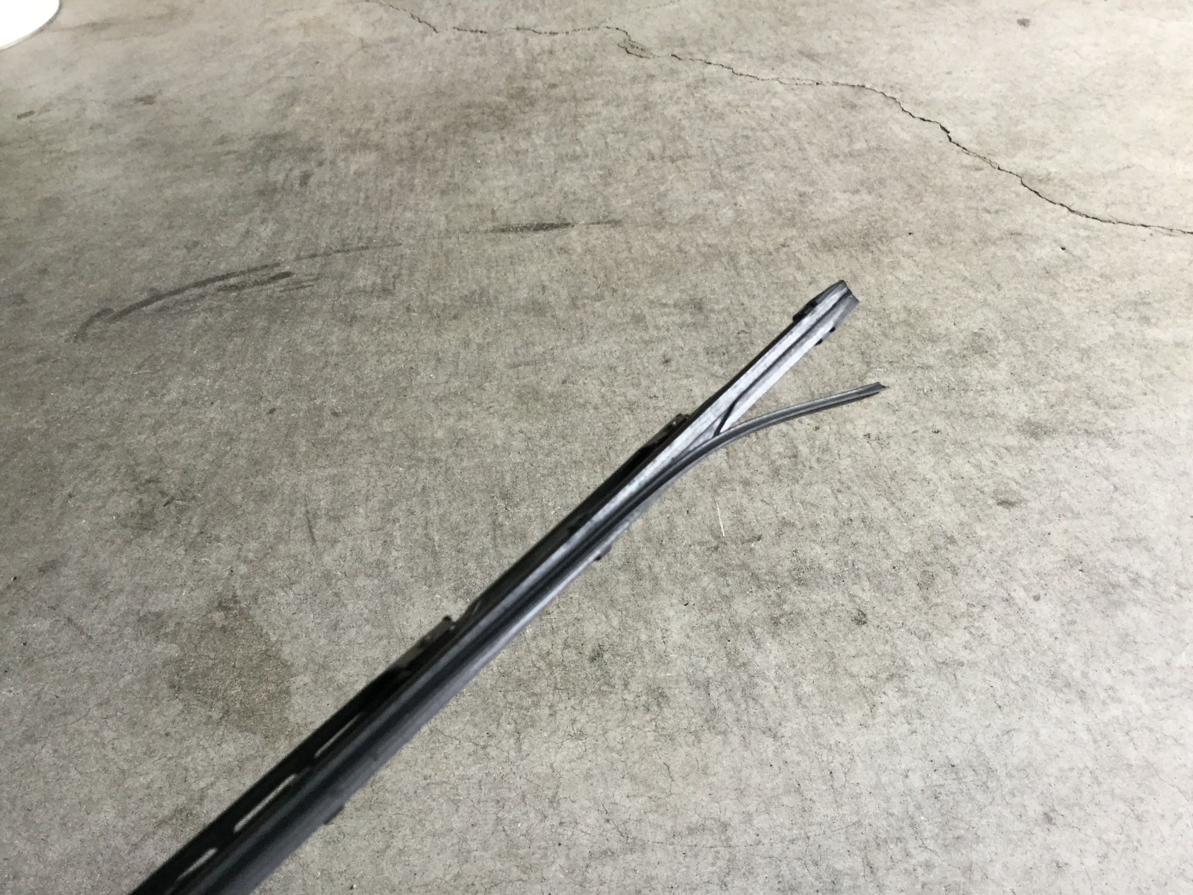 スタッフが撮影した画像です。