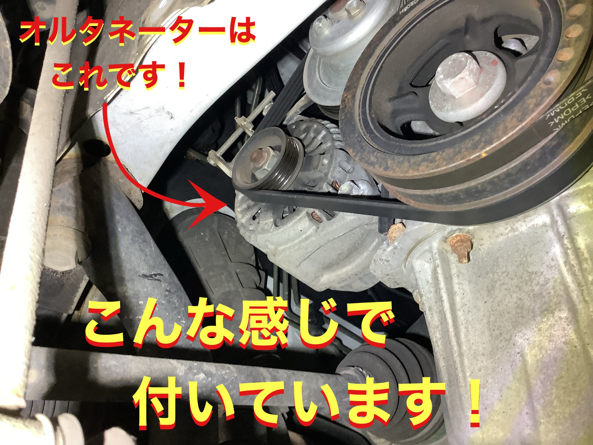自店撮影です