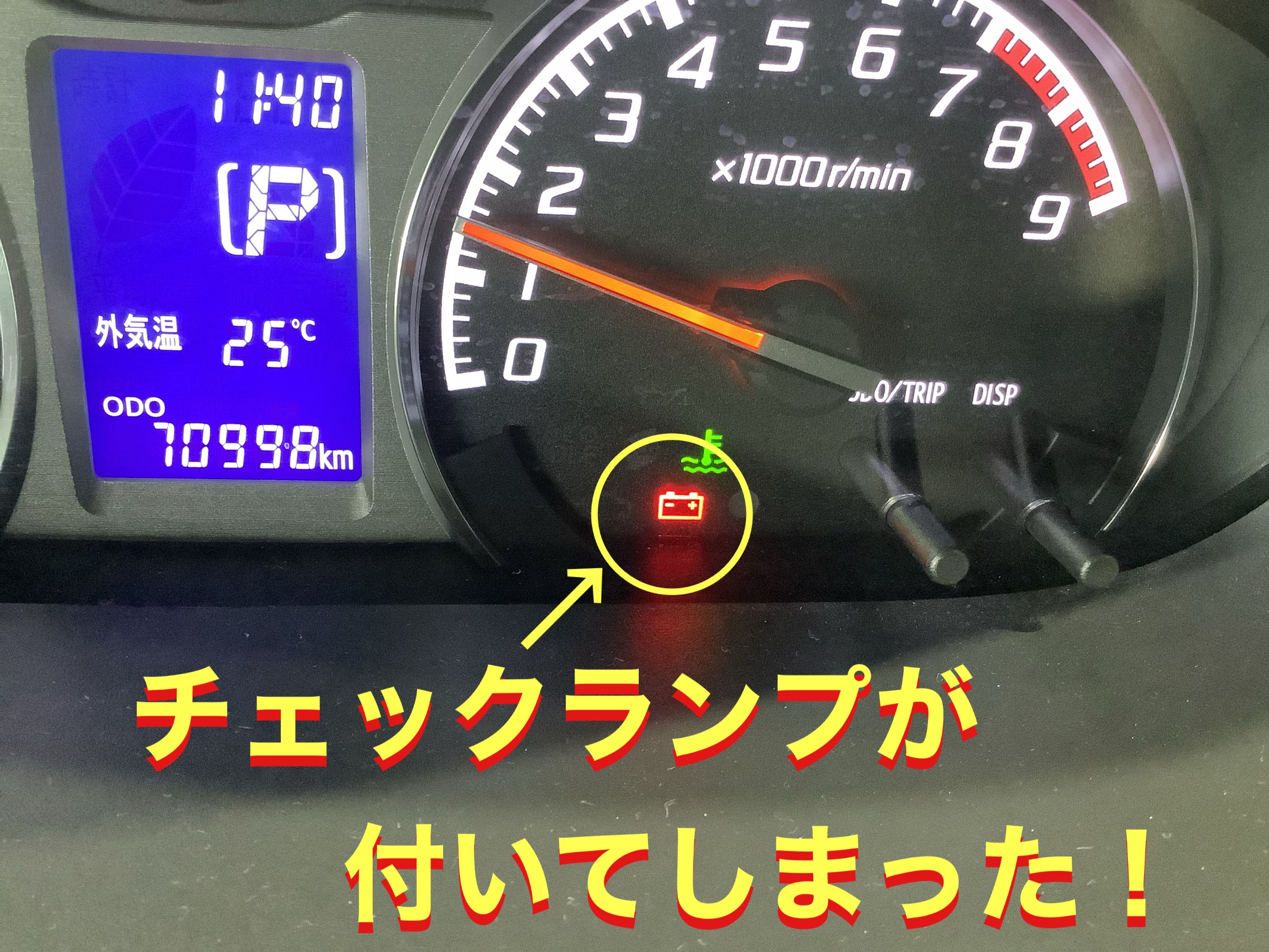 自店撮影です