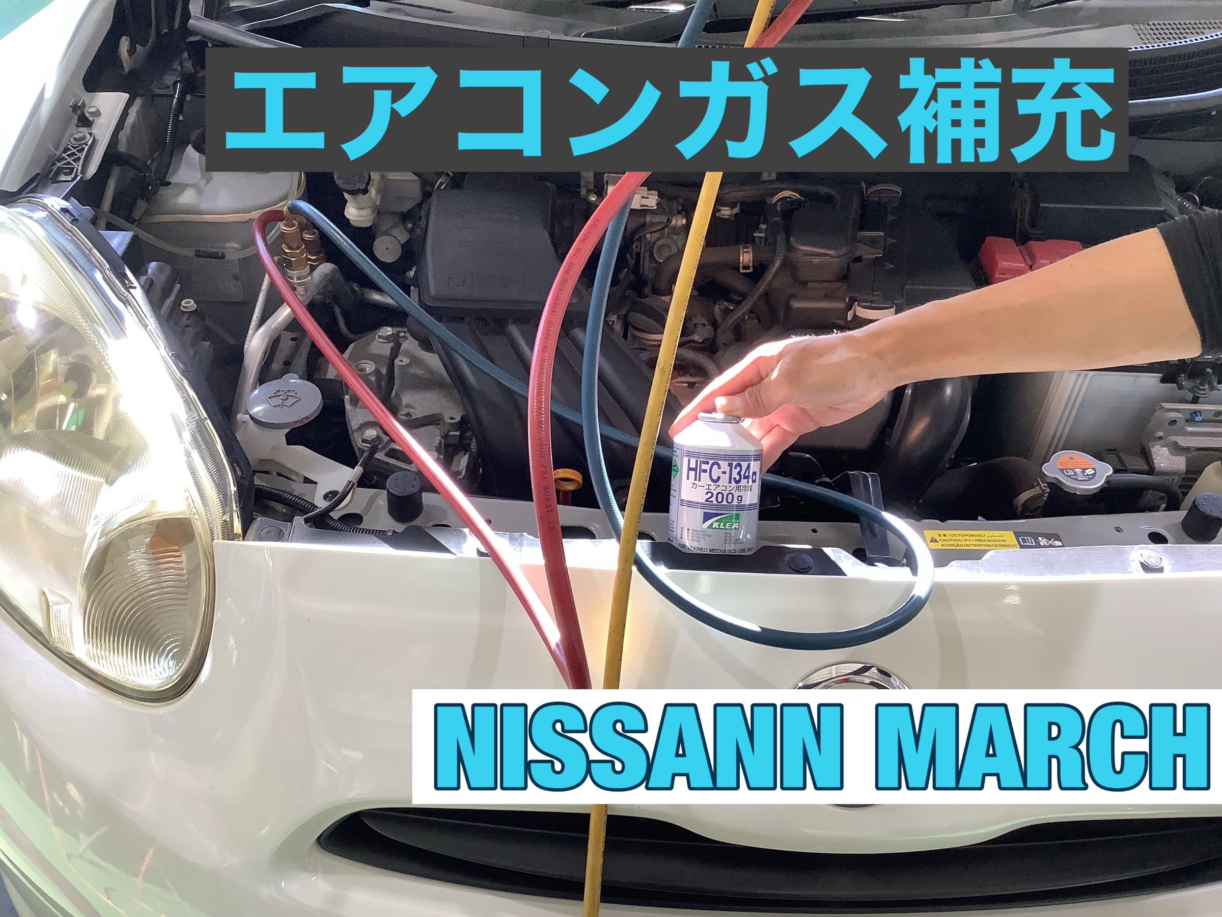スタッフ撮影です。