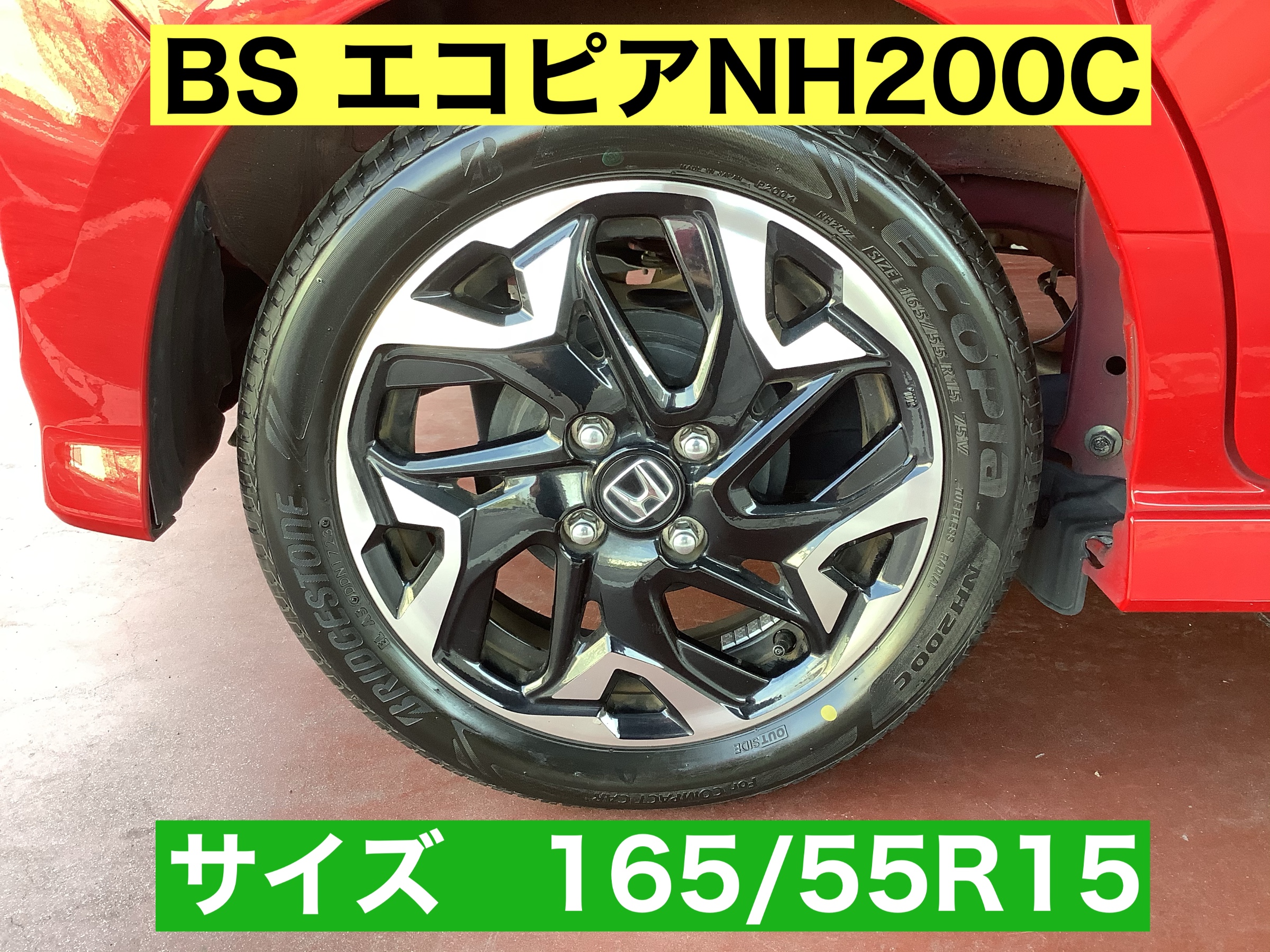 スタッフが撮影