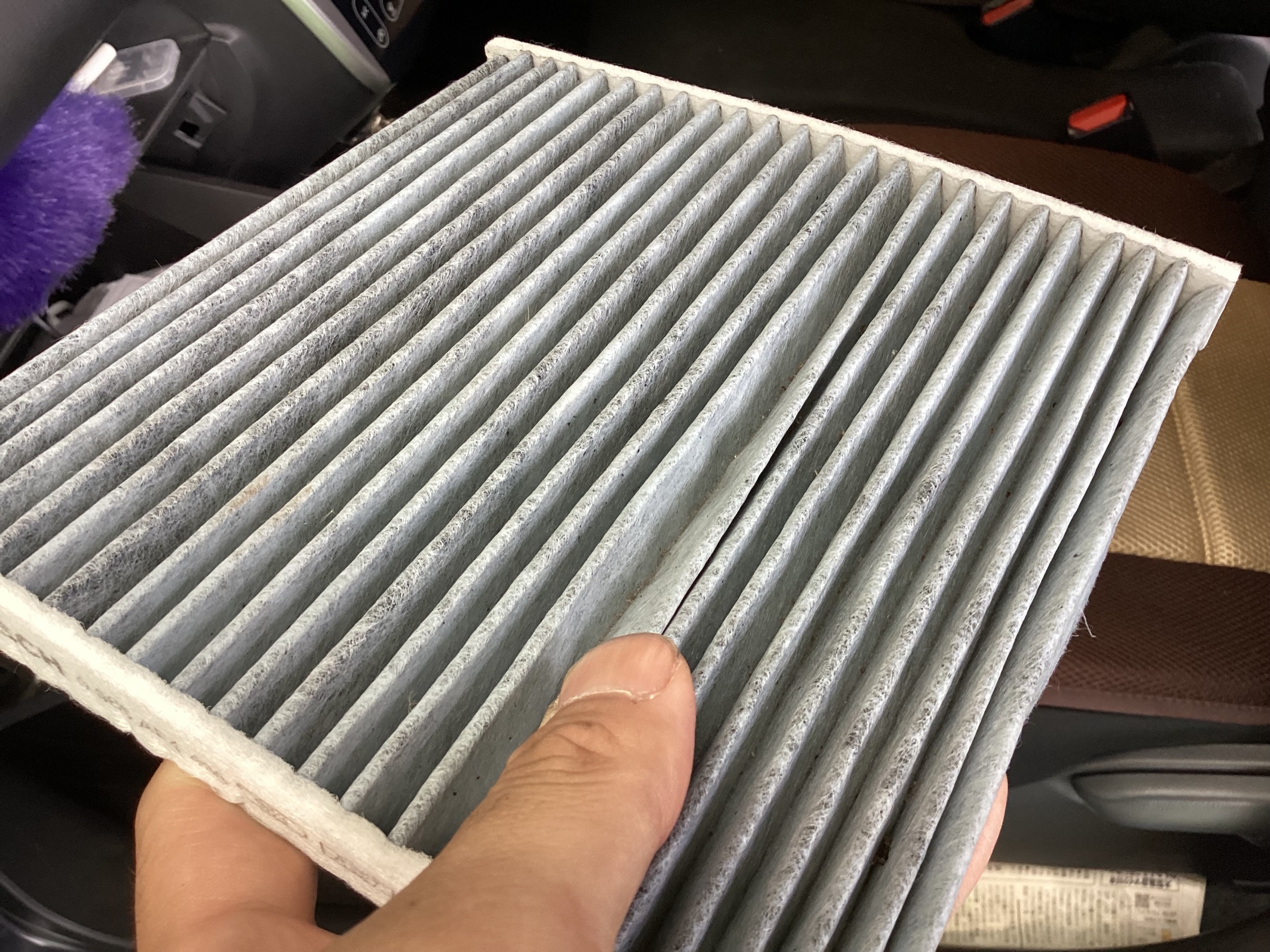 スタッフ撮影分