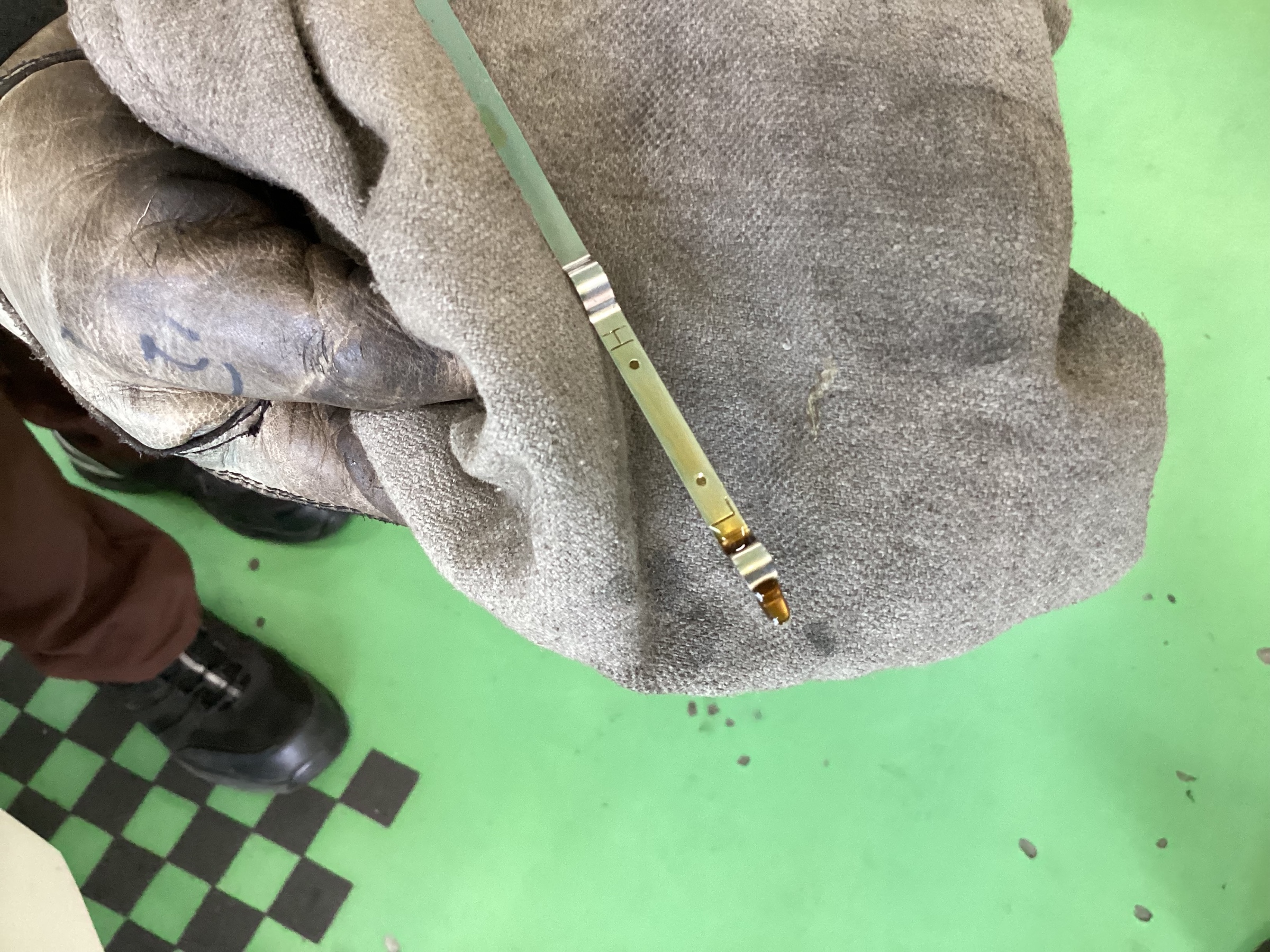 スタッフ撮影分