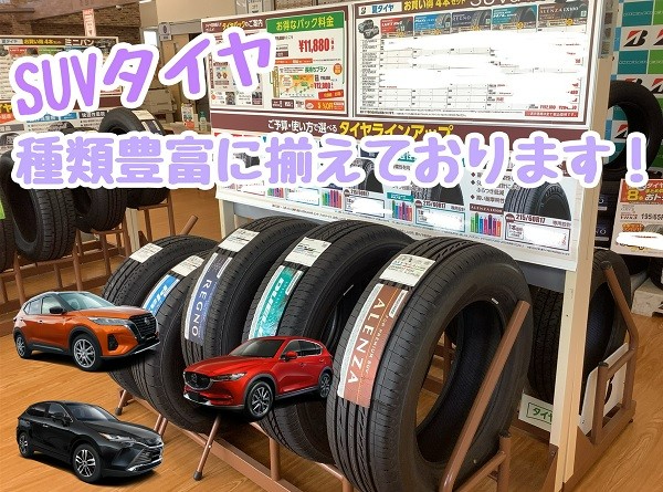 スタッフが撮影加工した画像