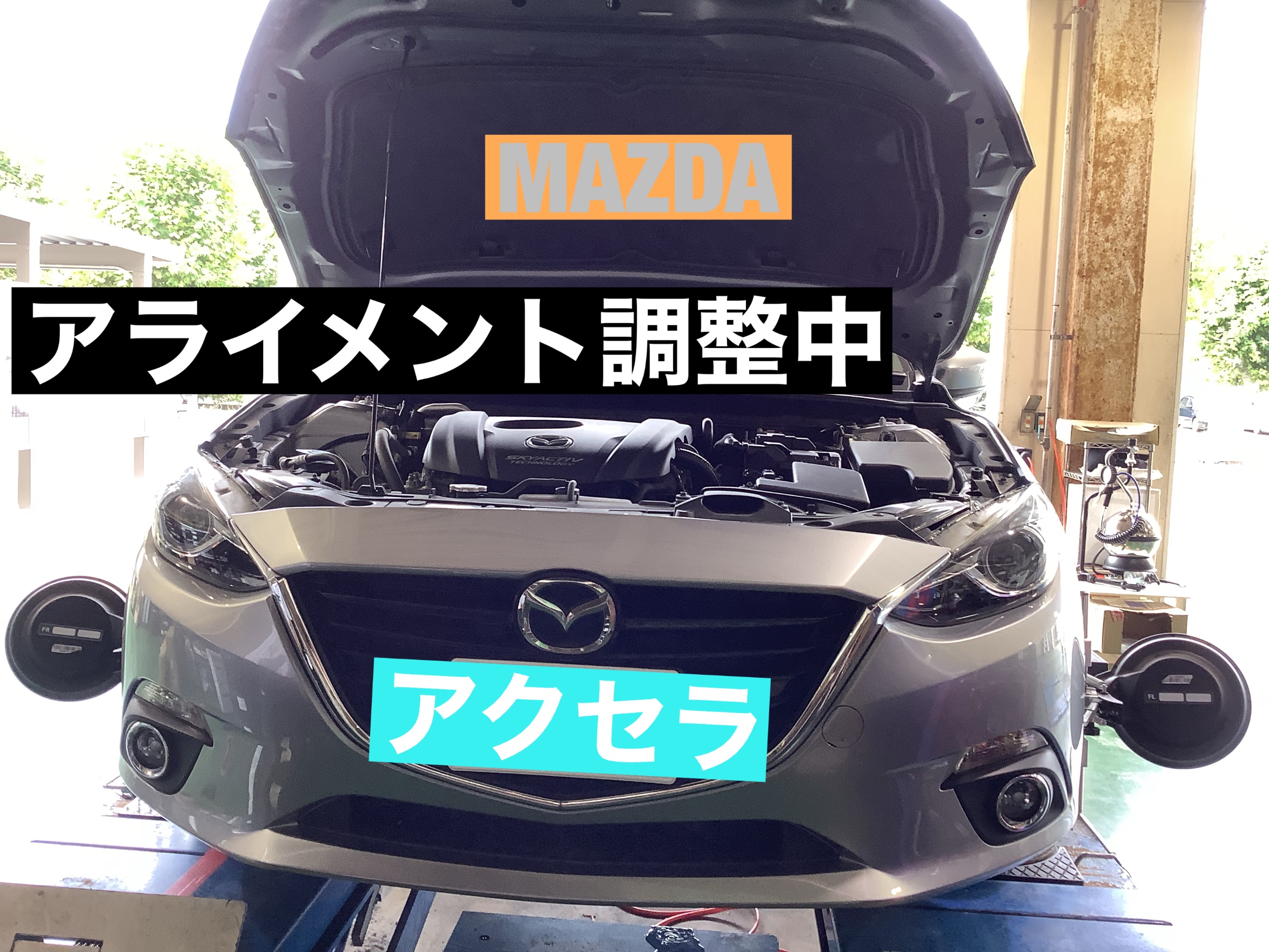 スタッフ撮影です。