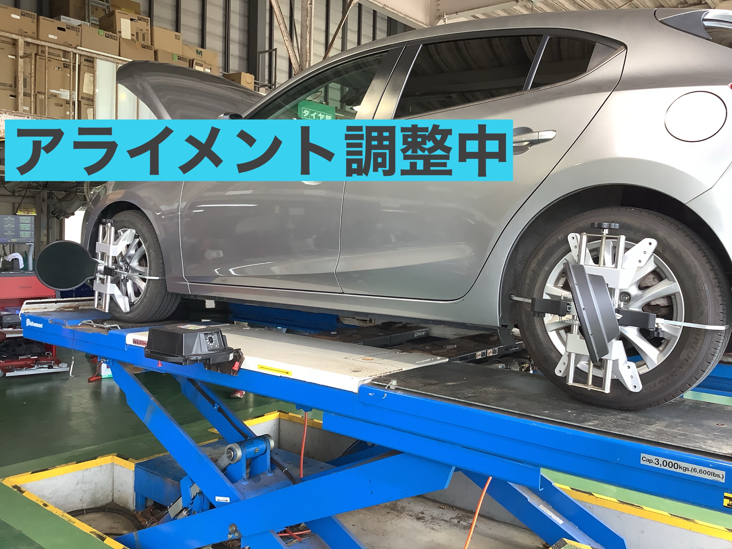 スタッフ撮影です。