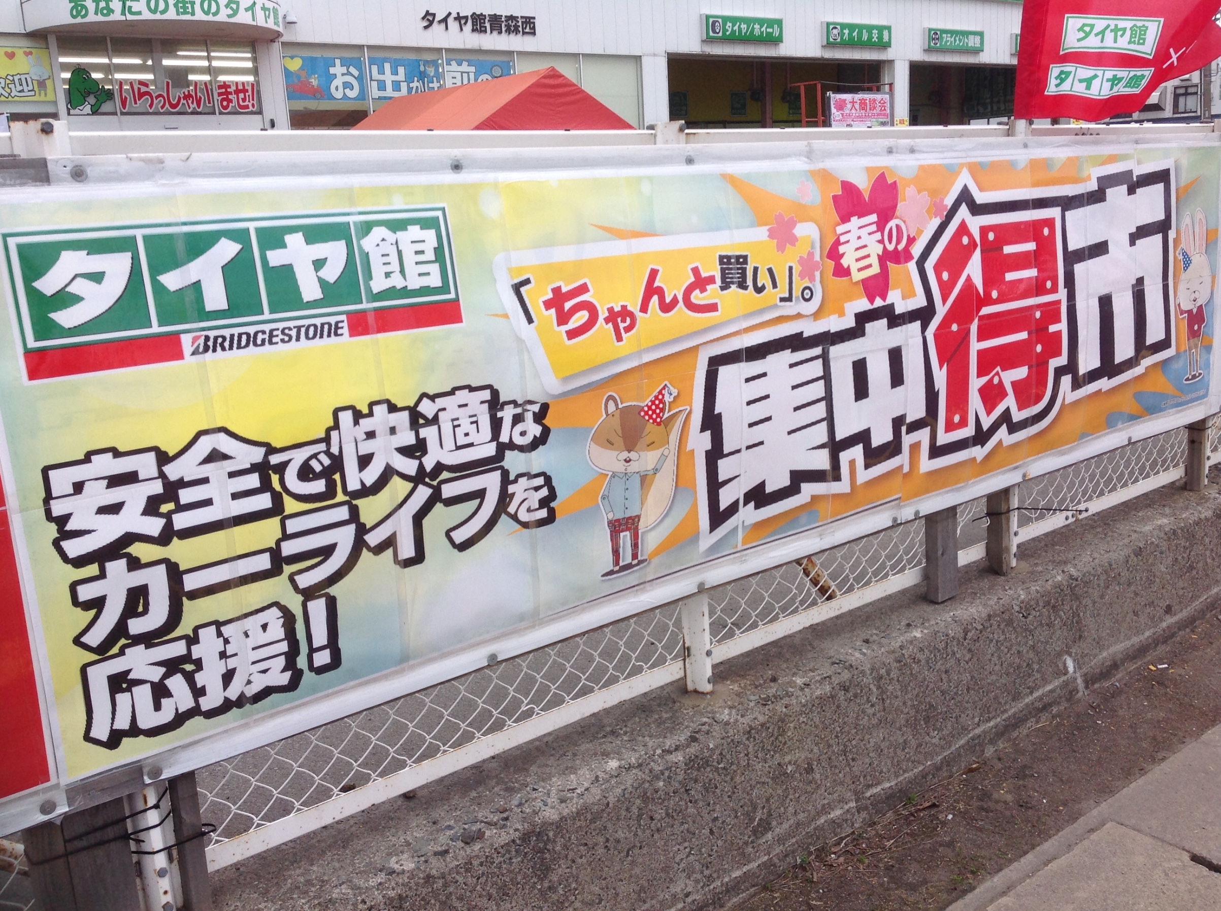 スタッフが撮影したものです。