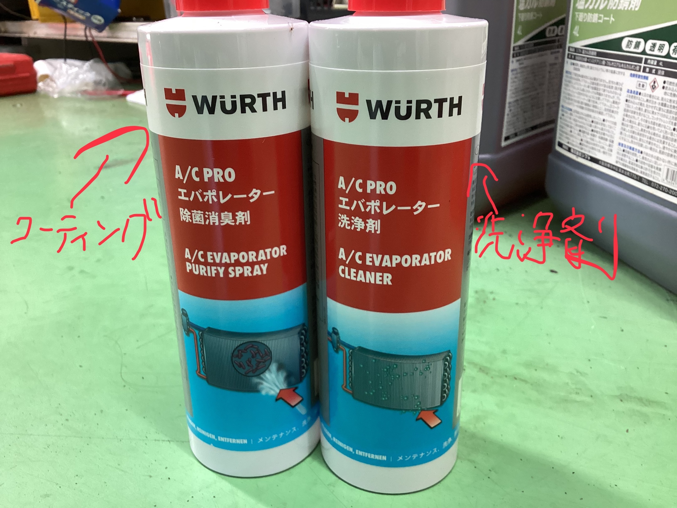 スタッフ撮影画像になります。