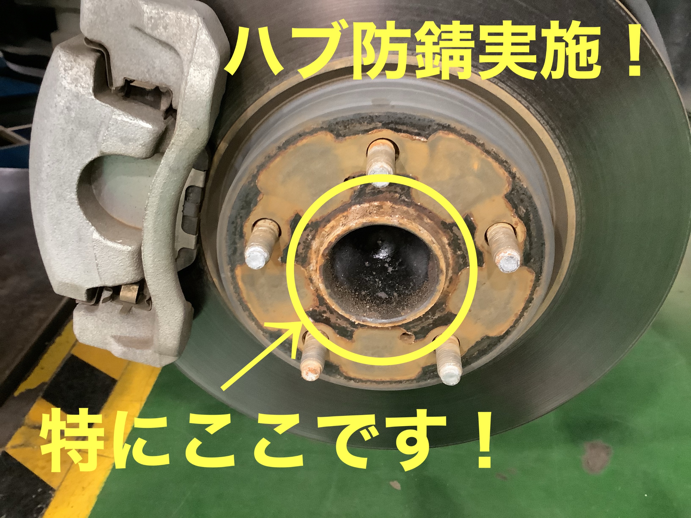 スタッフが撮影