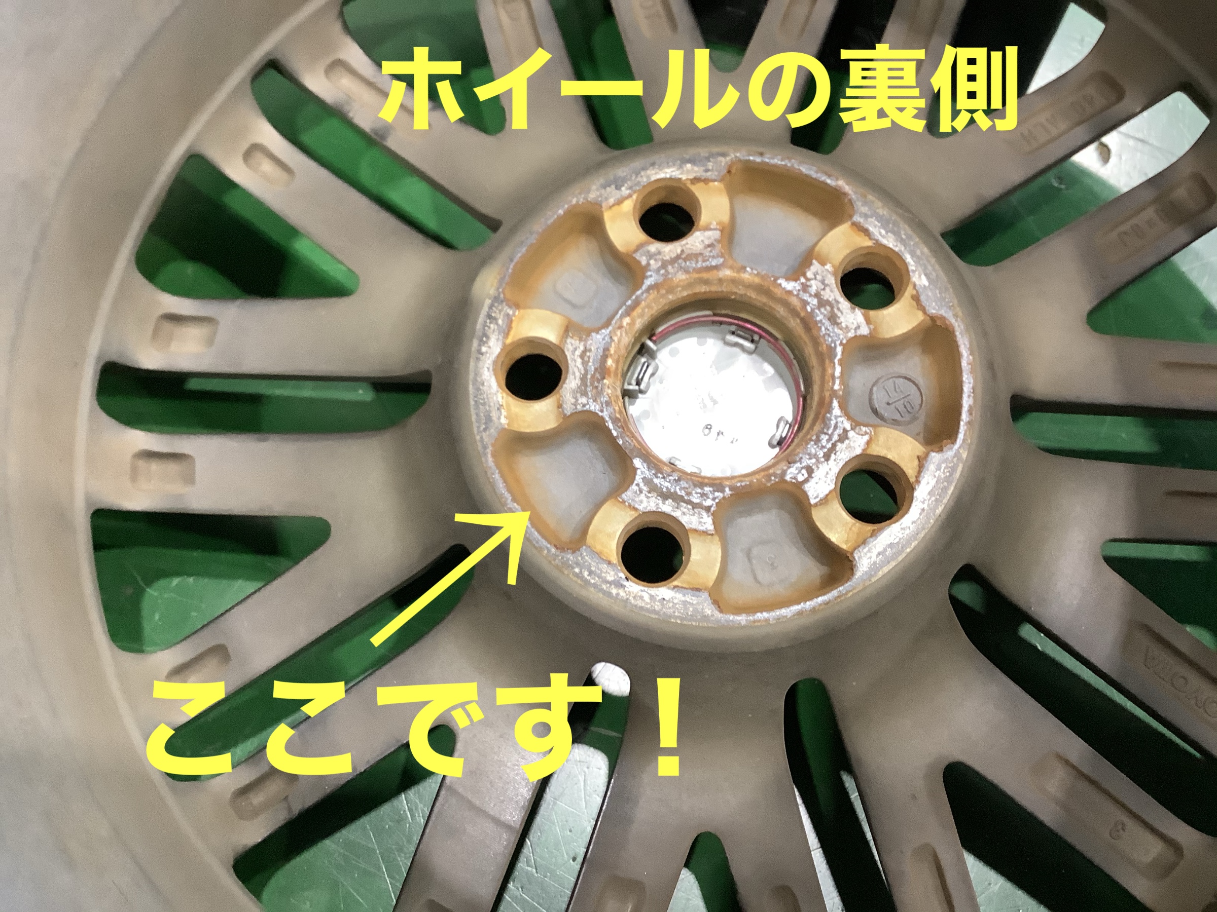 スタッフが撮影