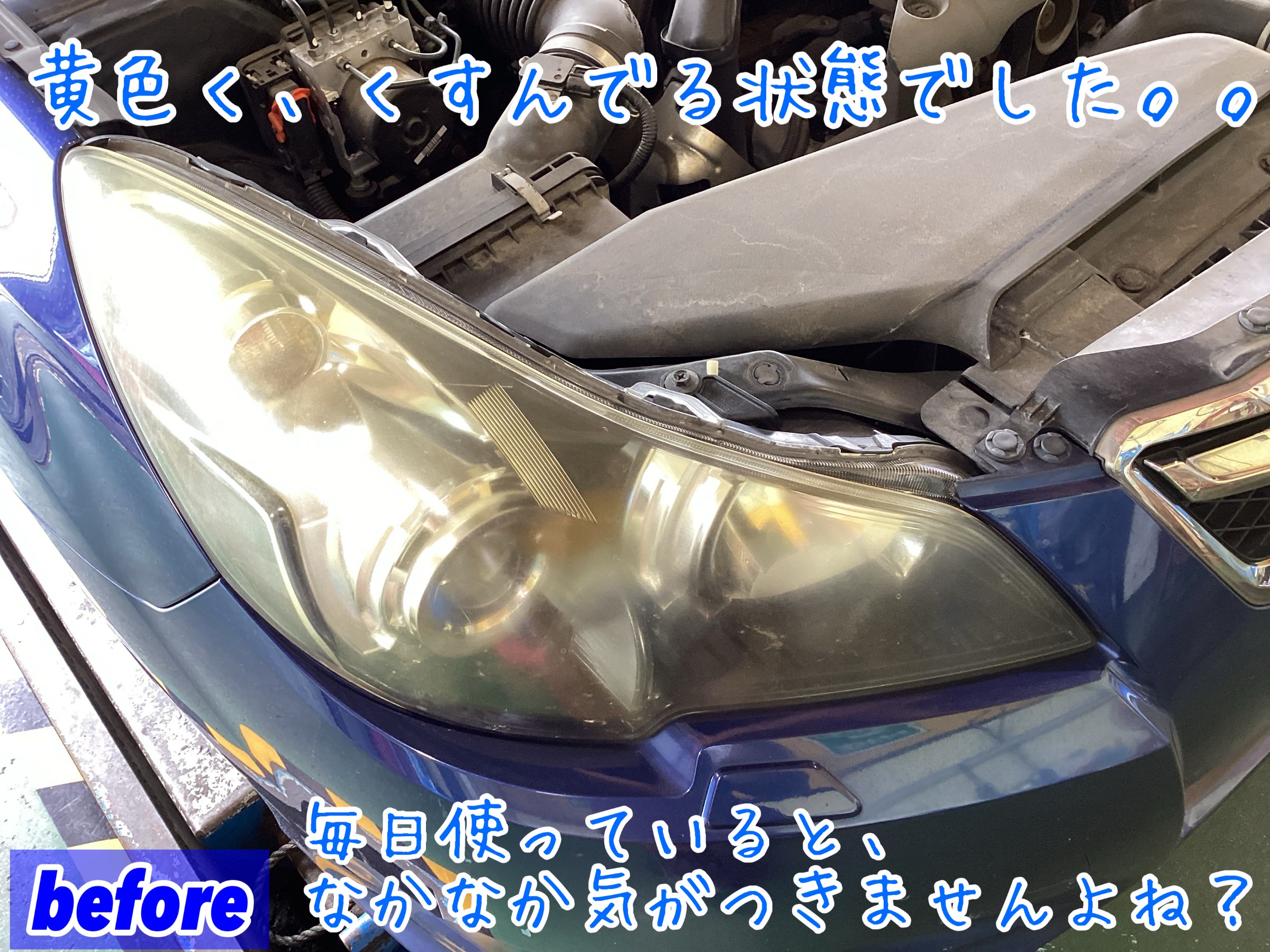 スタッフが撮影加工した画像