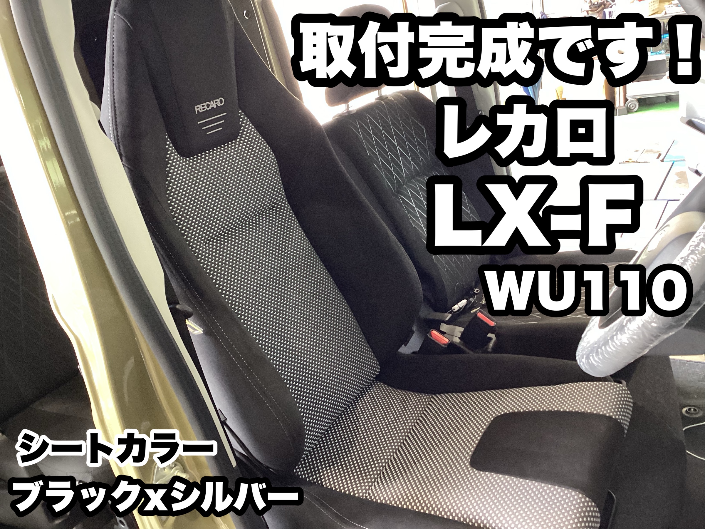 たま 会報誌 正直 バインダーとポストカードおまけ