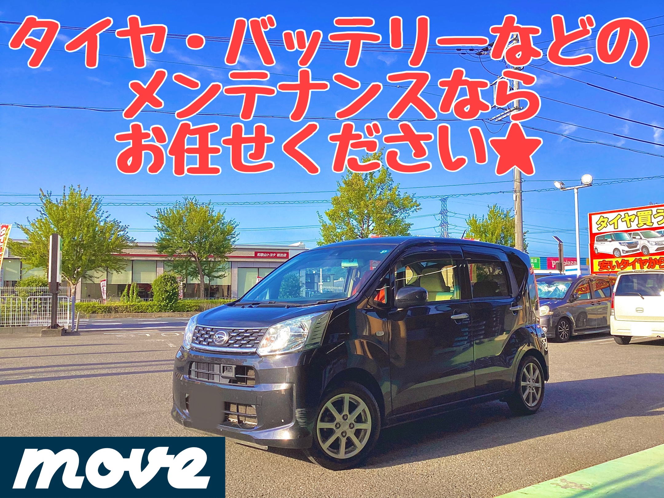 スタッフ撮影分