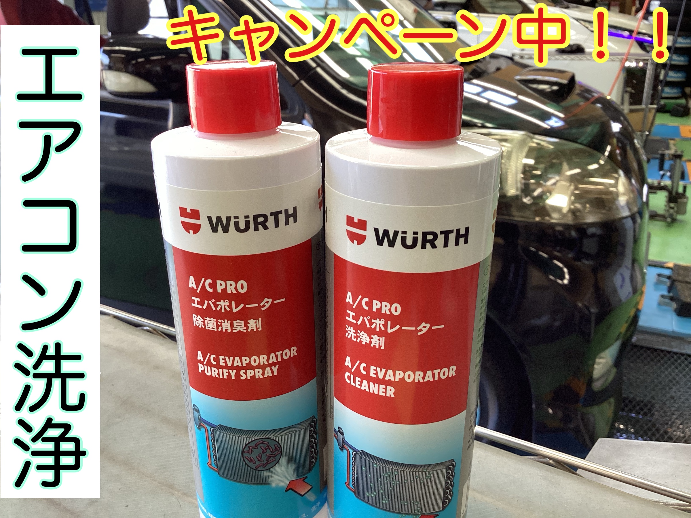 スタッフ撮影分