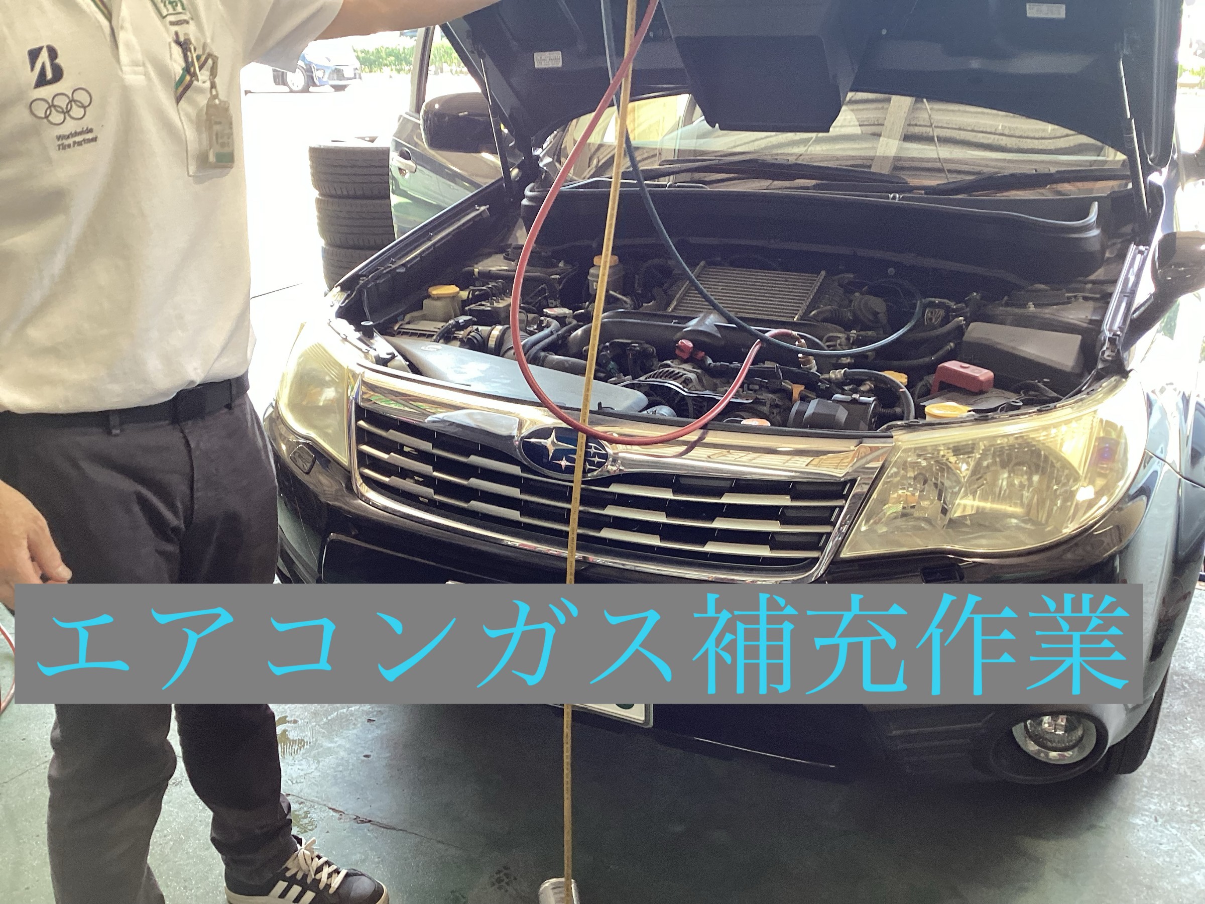 スタッフ撮影です。