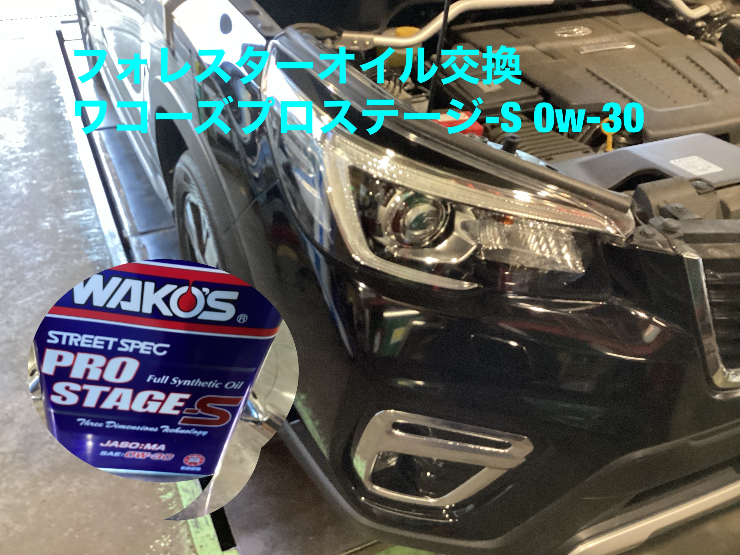 バスオイル　エストネーション 日産 日産純正 オイルフィルター スカイライン YV37 ZV37 オイル