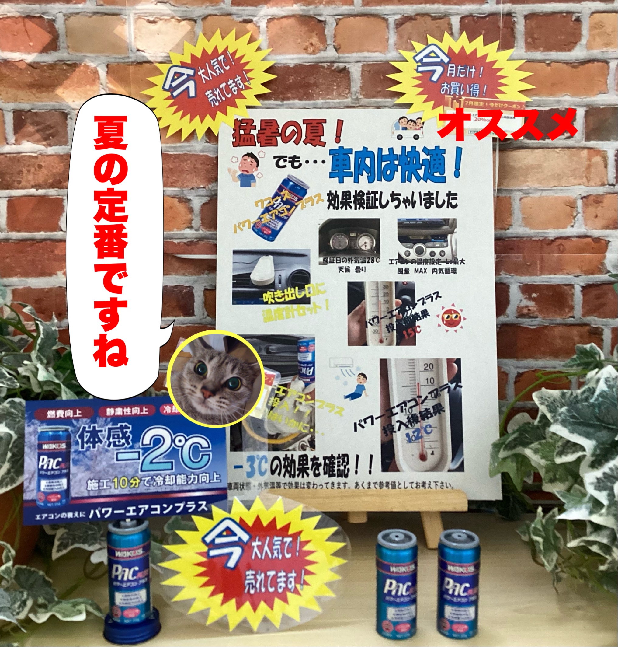 ワコーズ パワーエアコンプラス 3本 （PAC series パワー